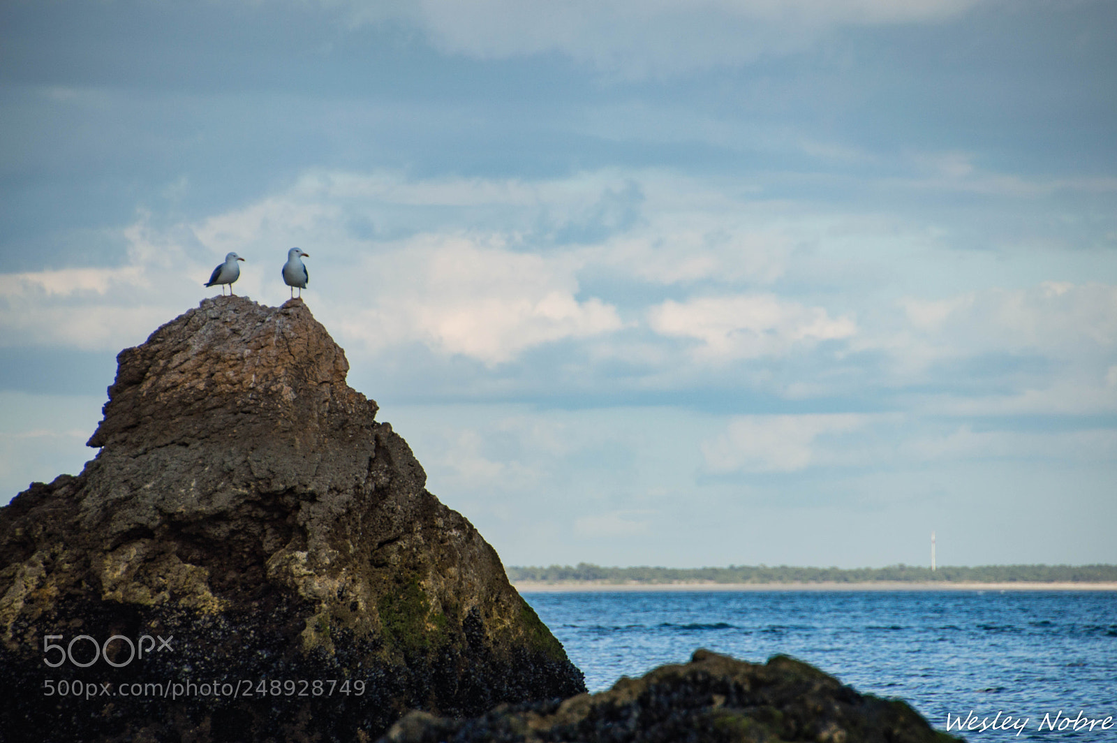 Nikon D3200 sample photo. 108-1.jpg photography