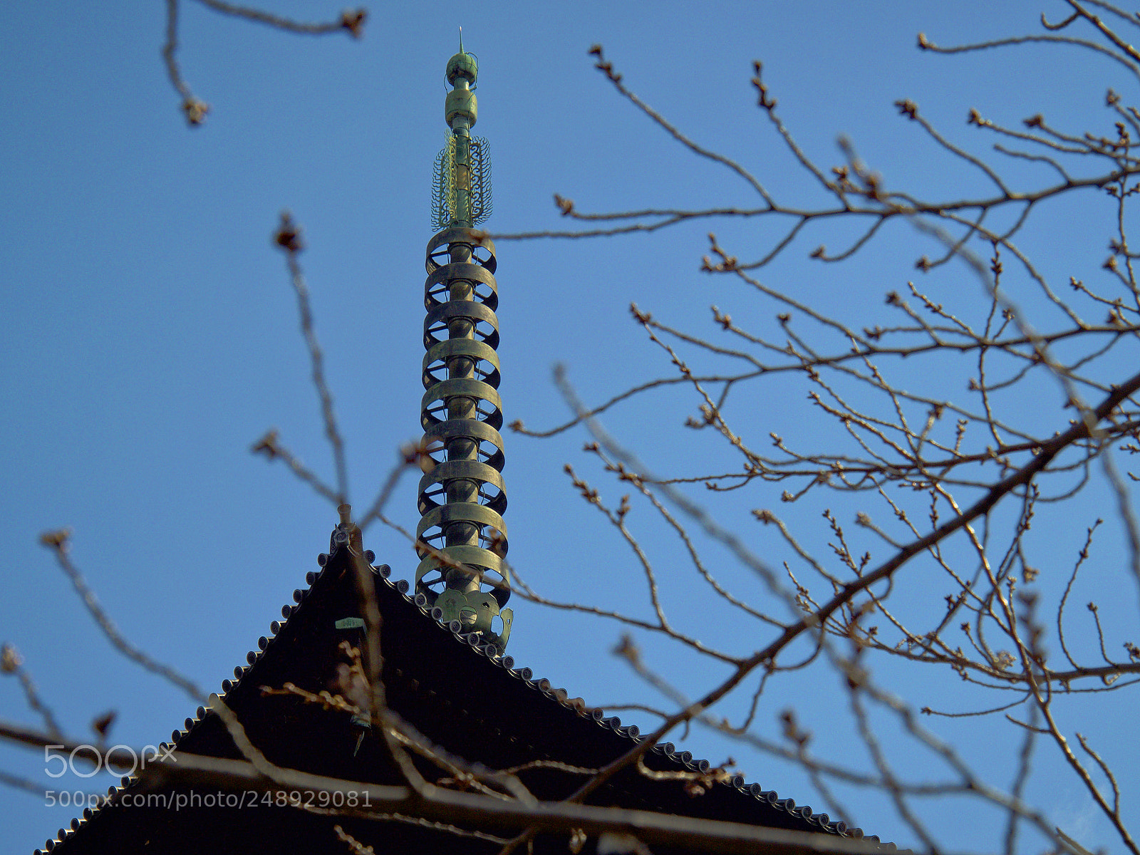 Olympus OM-D E-M5 II sample photo. Toji (2018 spring) photography