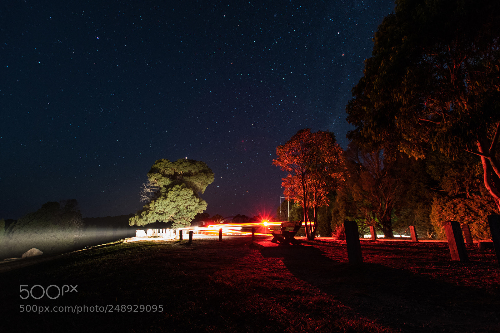 Nikon D500 sample photo. Sky lights photography