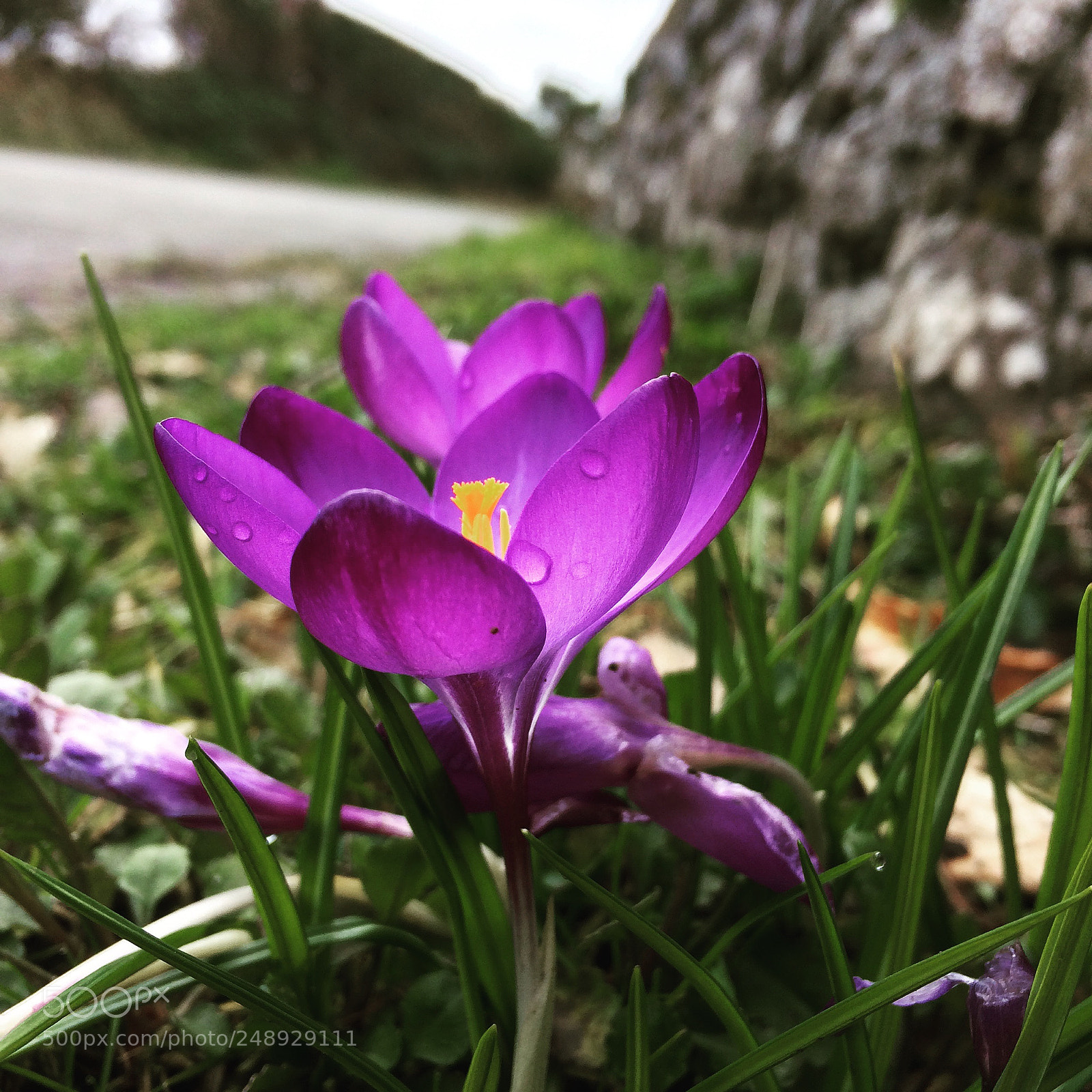 Apple iPhone 5s sample photo. Glow photography
