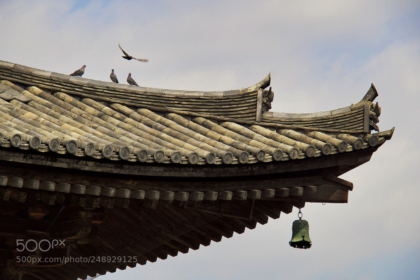 Olympus OM-D E-M5 II sample photo. Toji (2018 spring) photography