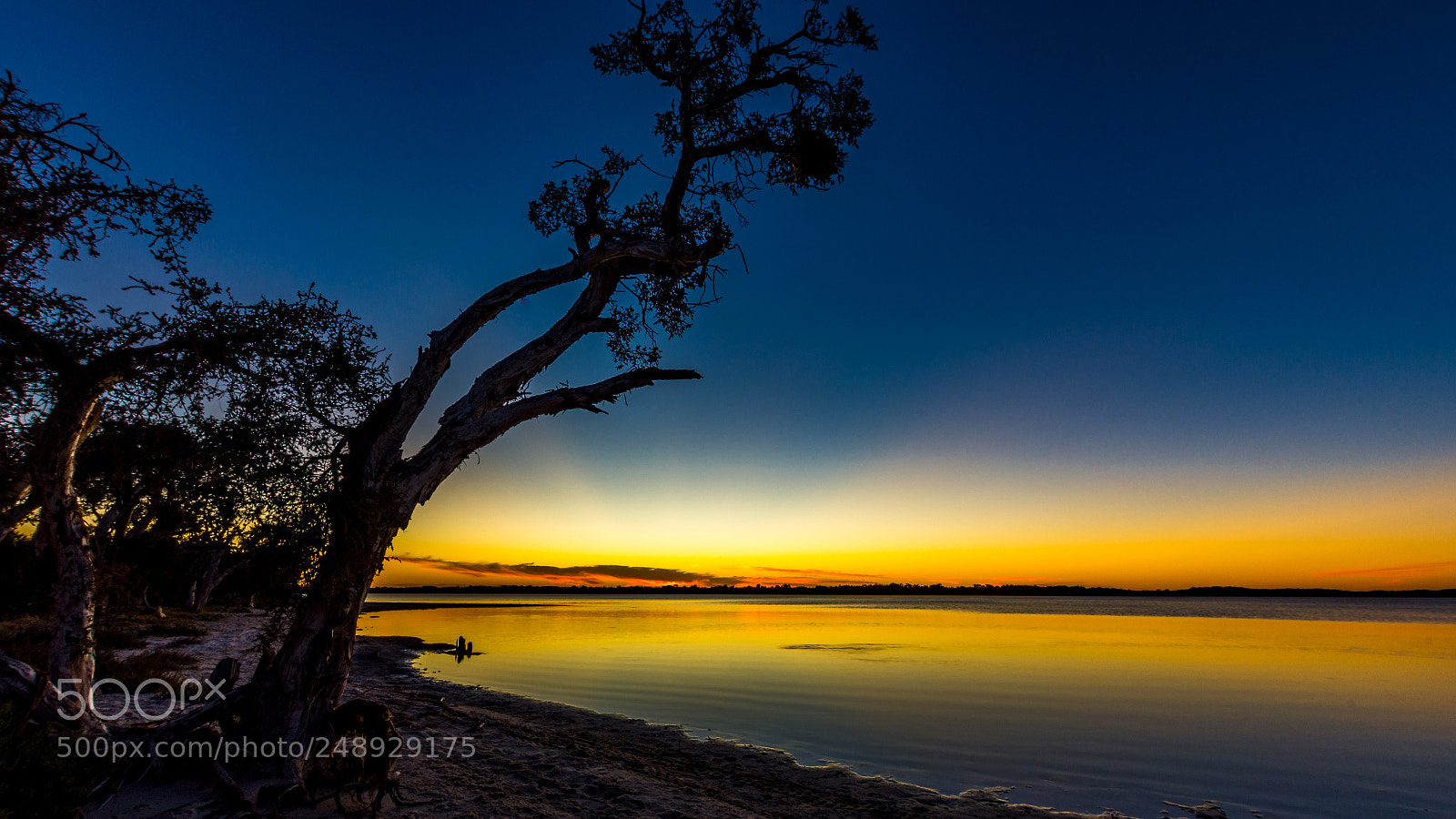 Nikon D7200 sample photo. Australind sunset photography