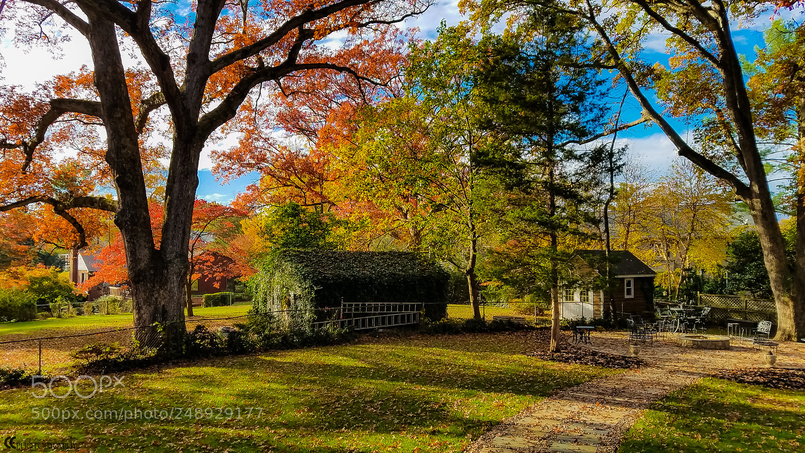 Samsung Galaxy S7 Edge sample photo. Fall colors photography