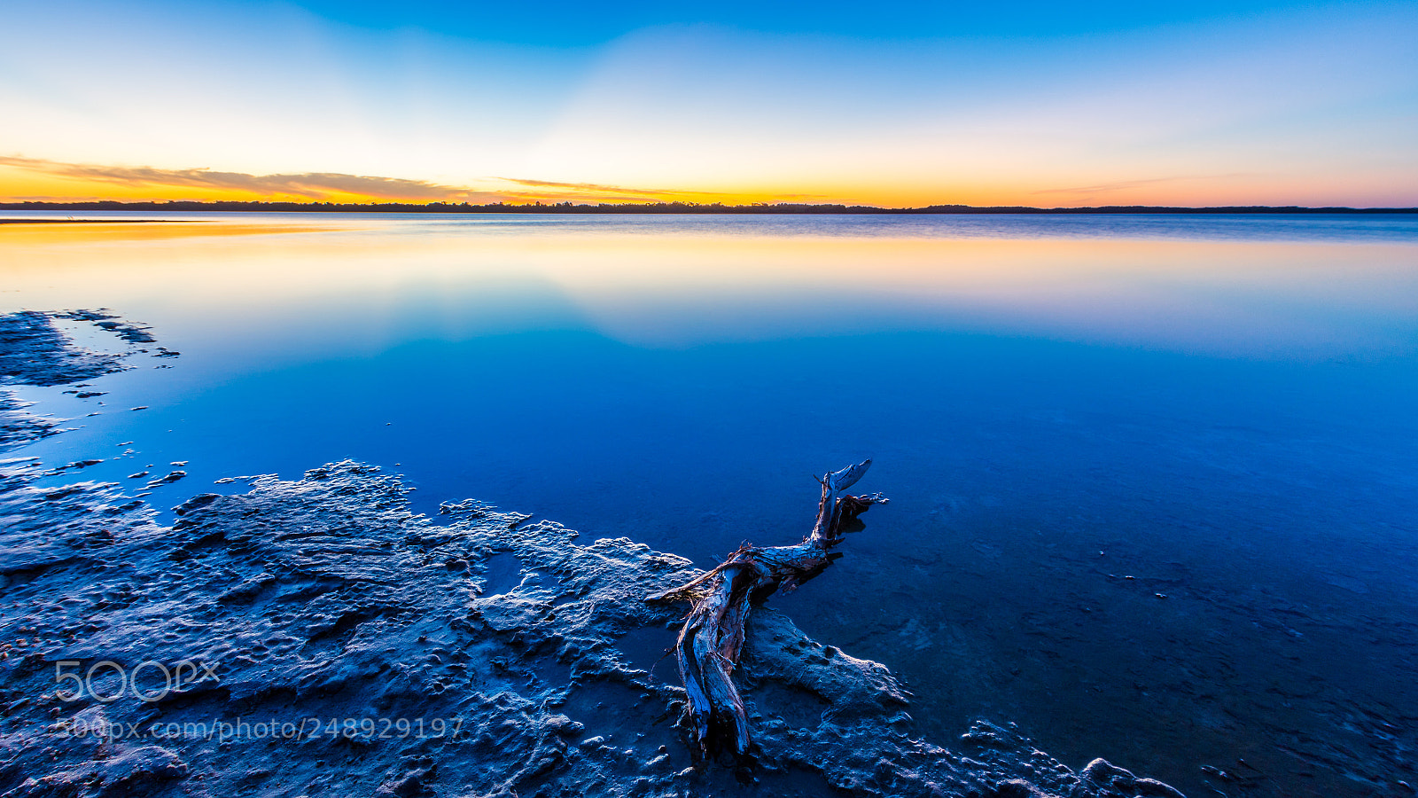 Nikon D7200 sample photo. Marooned branch photography