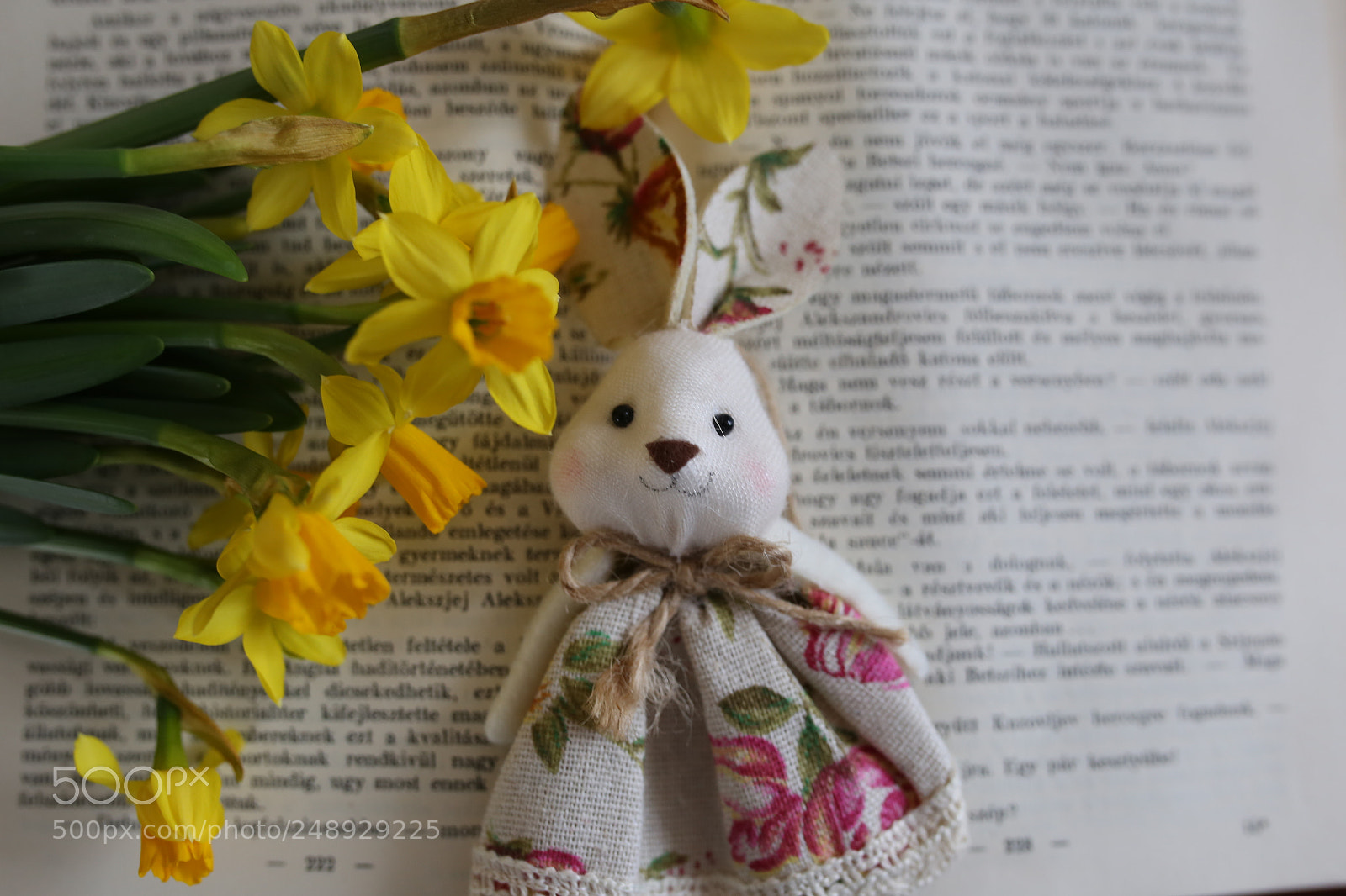 Sigma 35mm F1.4 DG HSM Art sample photo. Rabbit photography