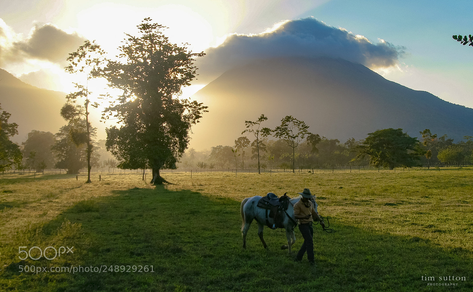 Sony SLT-A55 (SLT-A55V) sample photo. Costa rican cowboy photography
