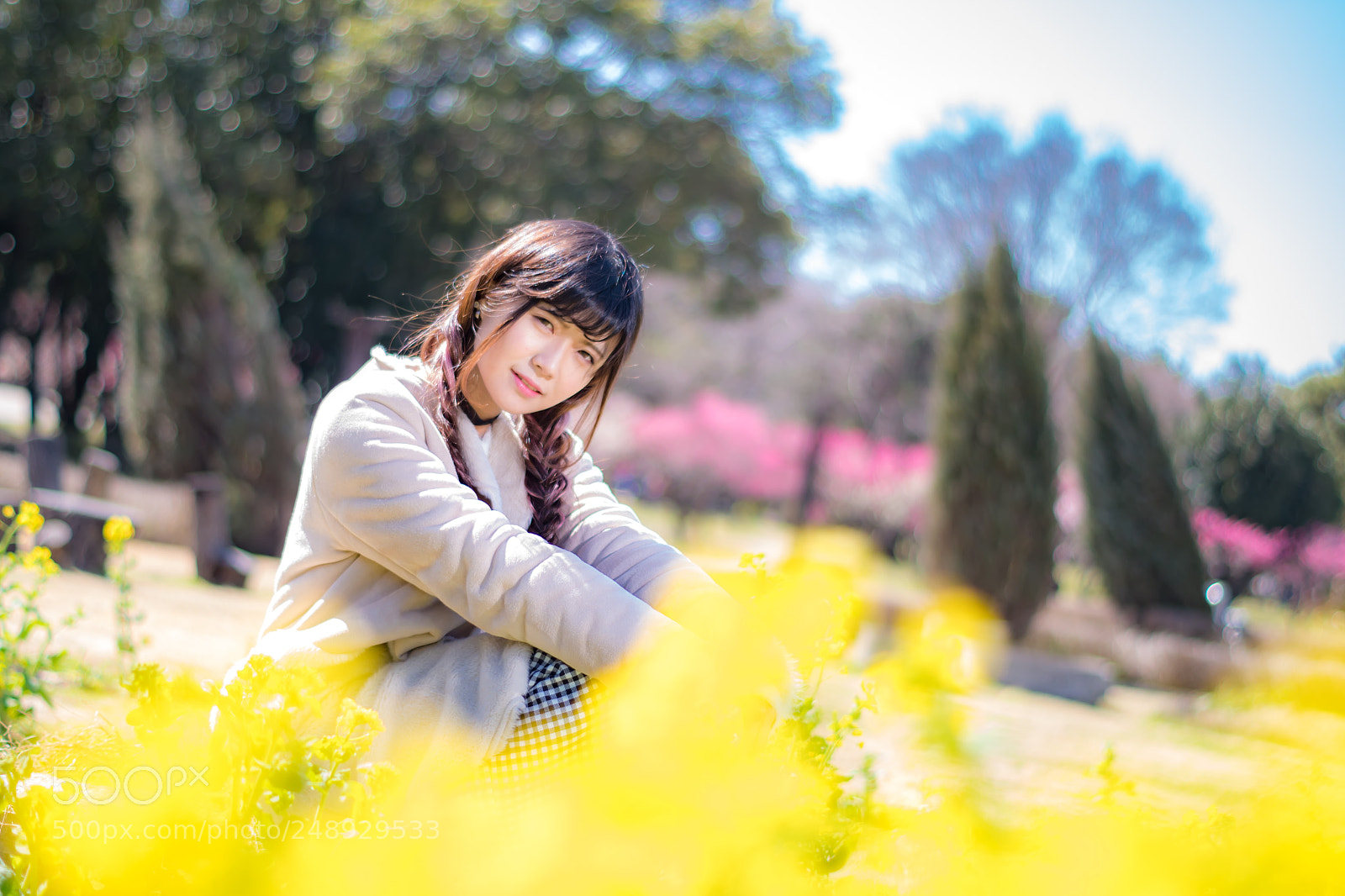 Pentax K-S2 sample photo. Untitled photography