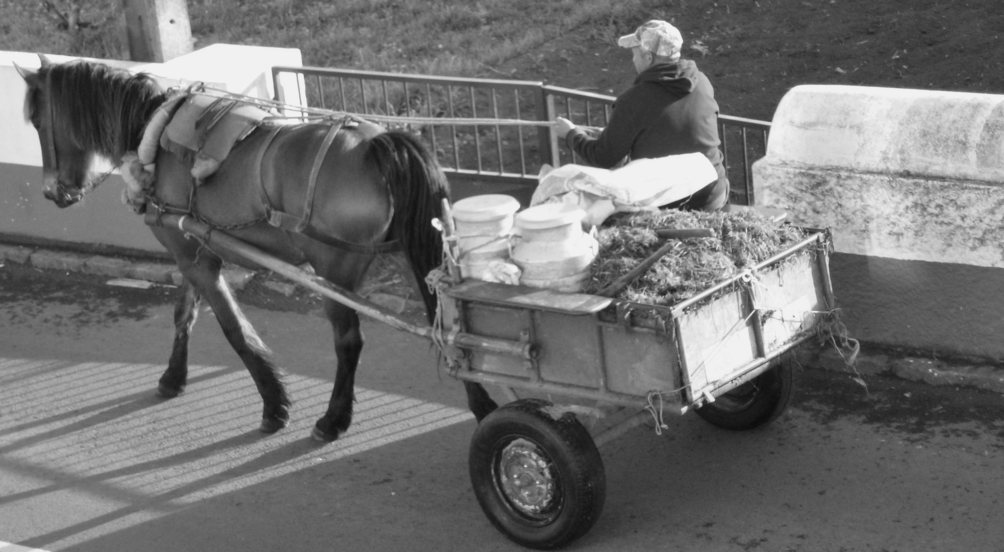 Panasonic Lumix DMC-ZS8 (Lumix DMC-TZ18) sample photo. This is my horse cart photography