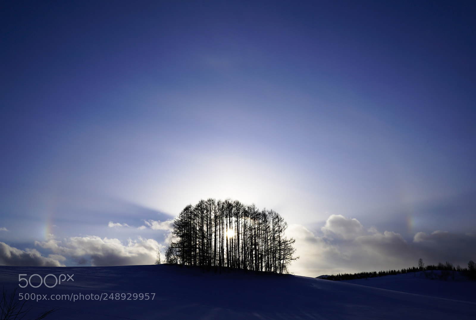 Sony a7R II sample photo. Scenery of the hill photography