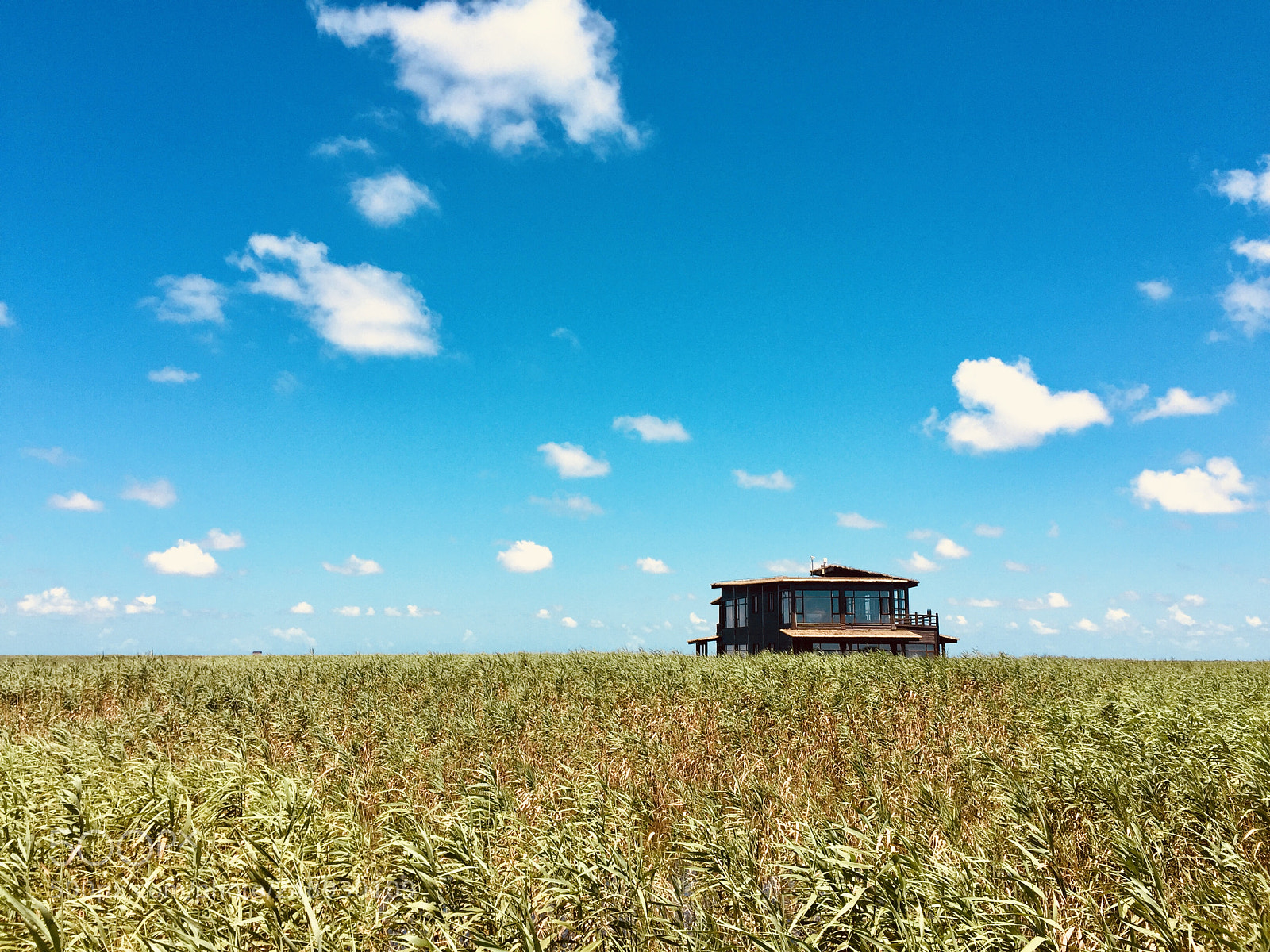 Apple iPhone 6 sample photo. Chongming island photography