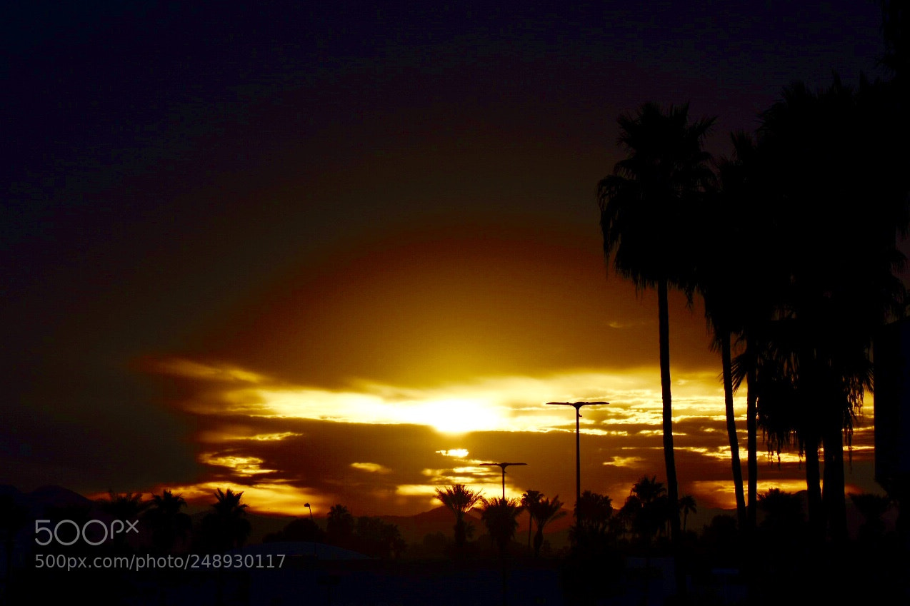 Nikon D3400 sample photo. The sun making its photography
