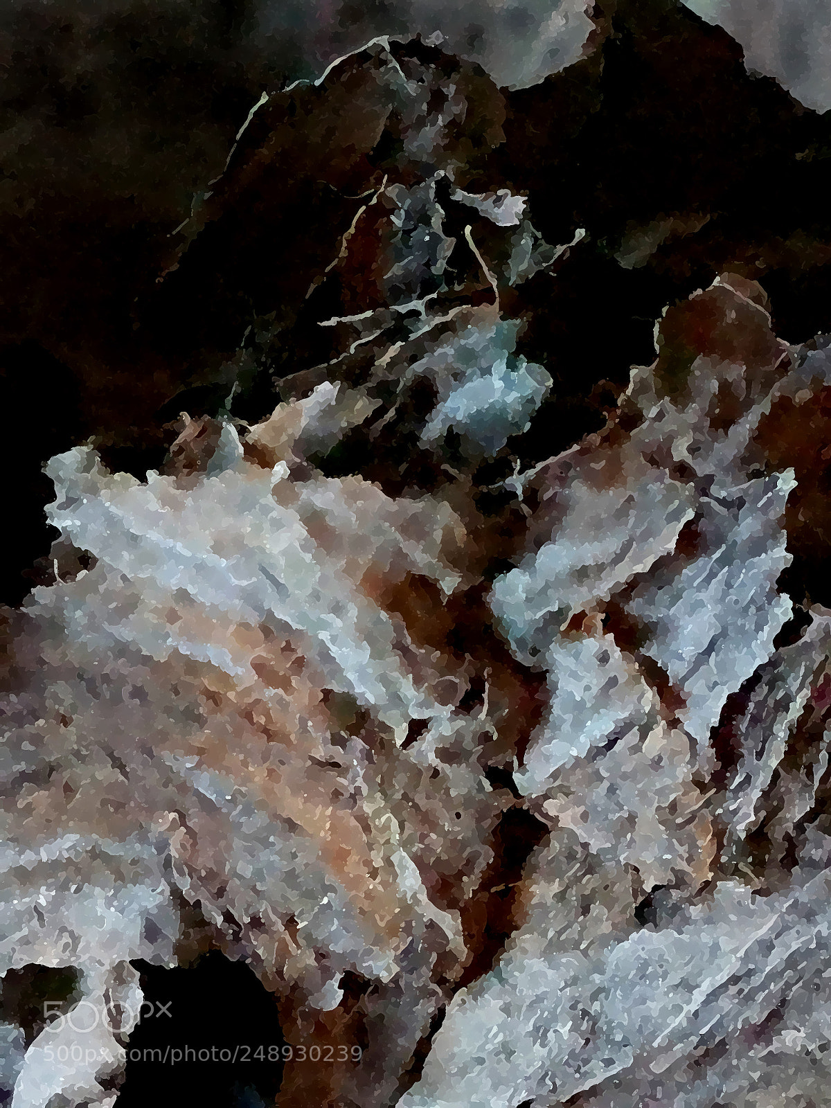 Samsung Galaxy S7 sample photo. Shell photography