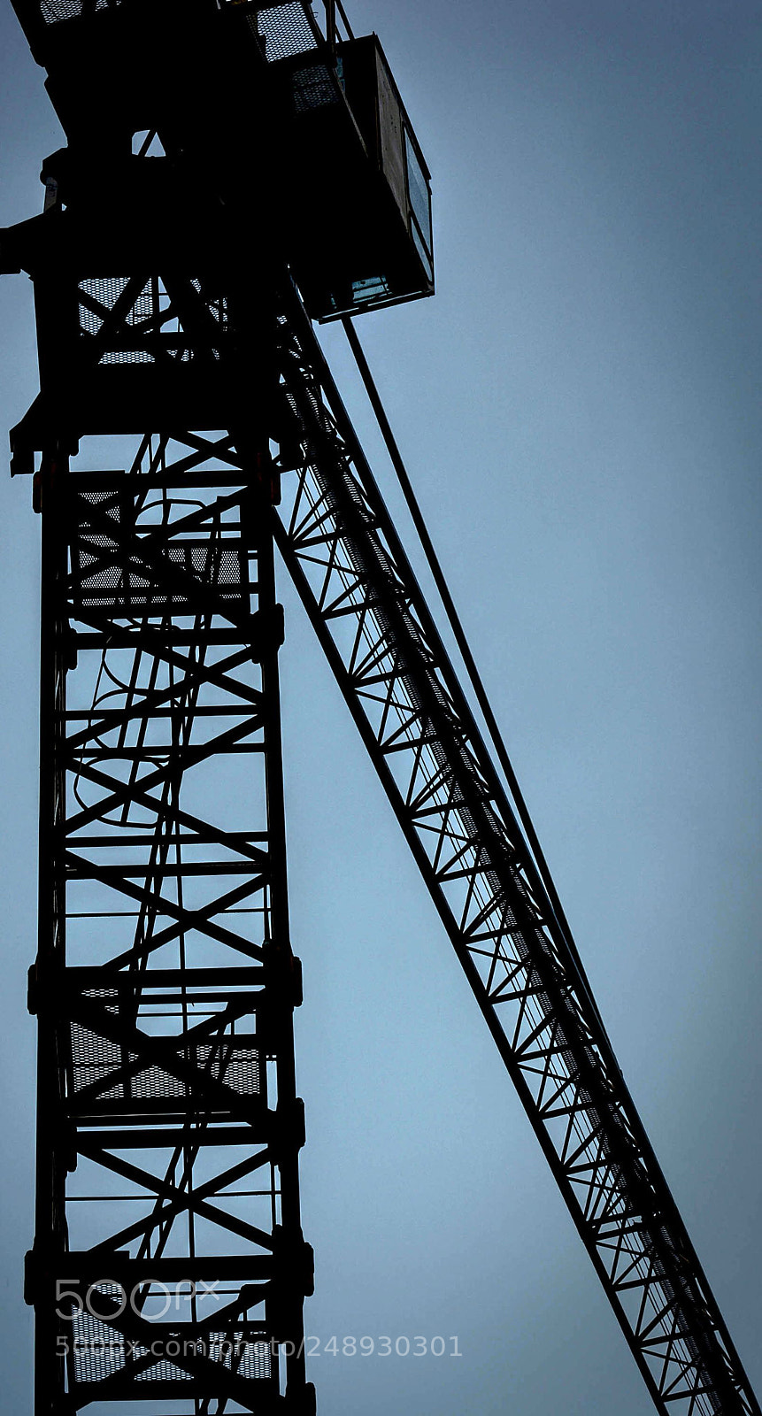 Nikon D5200 sample photo. The crane photography