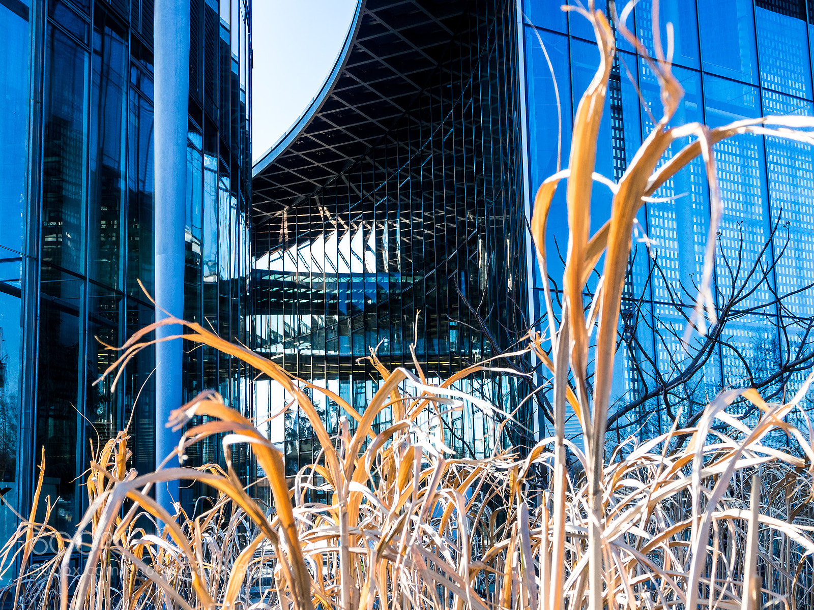 Olympus OM-D E-M10 sample photo. Post tower in bonn 3 photography