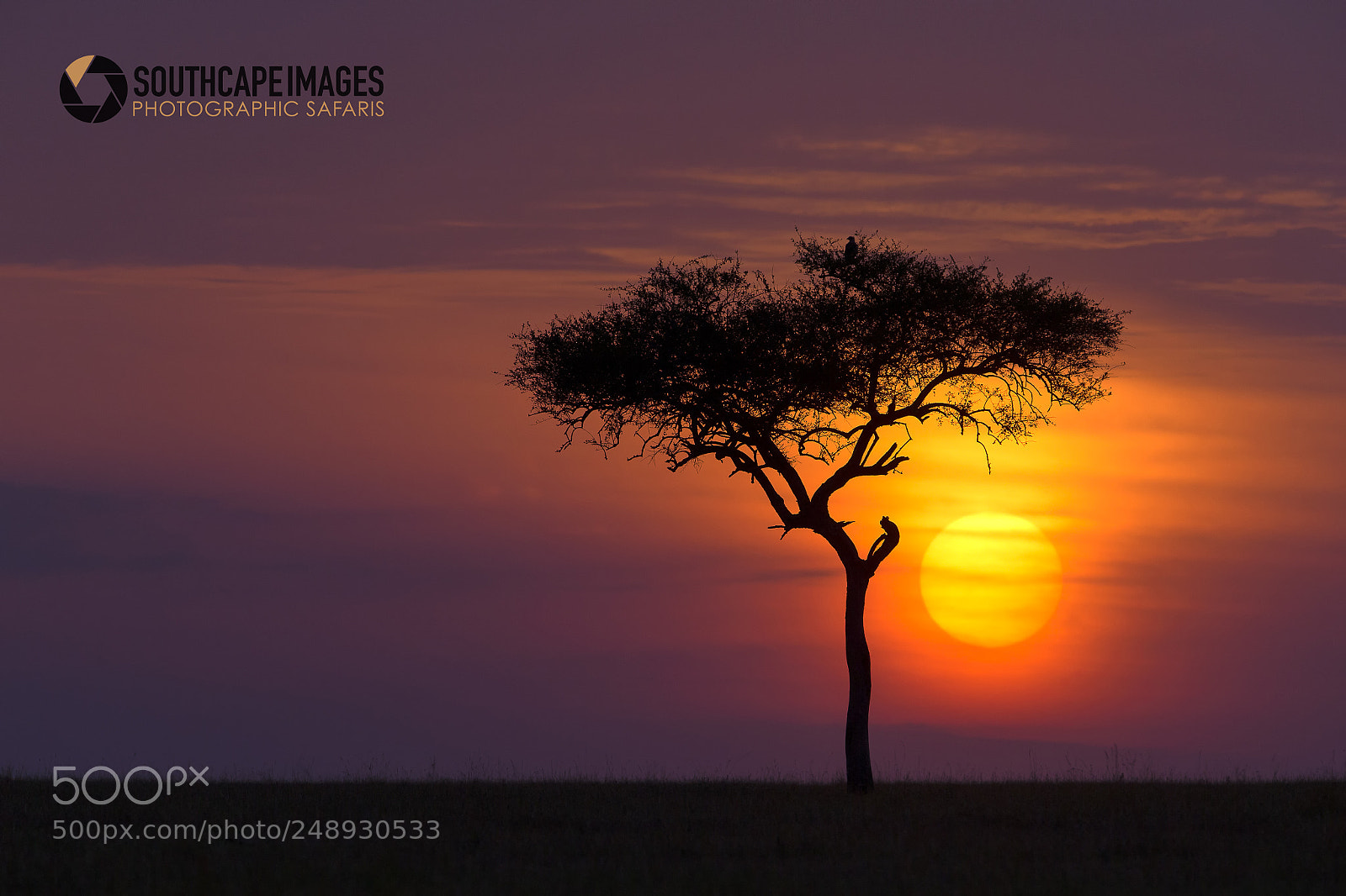 Canon EOS-1D X sample photo. East africa magic photography