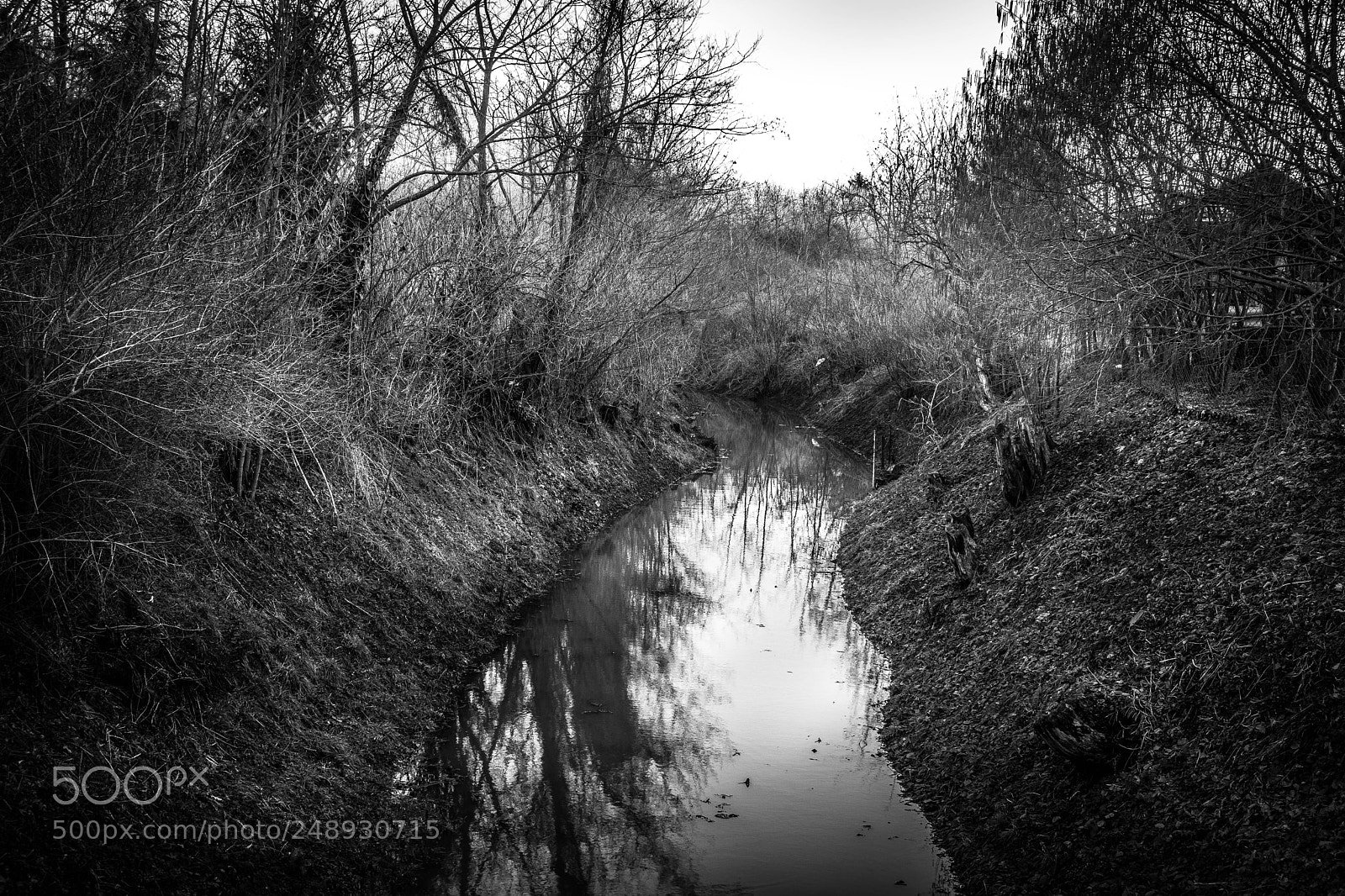 Canon EOS 77D (EOS 9000D / EOS 770D) sample photo. Dark water photography