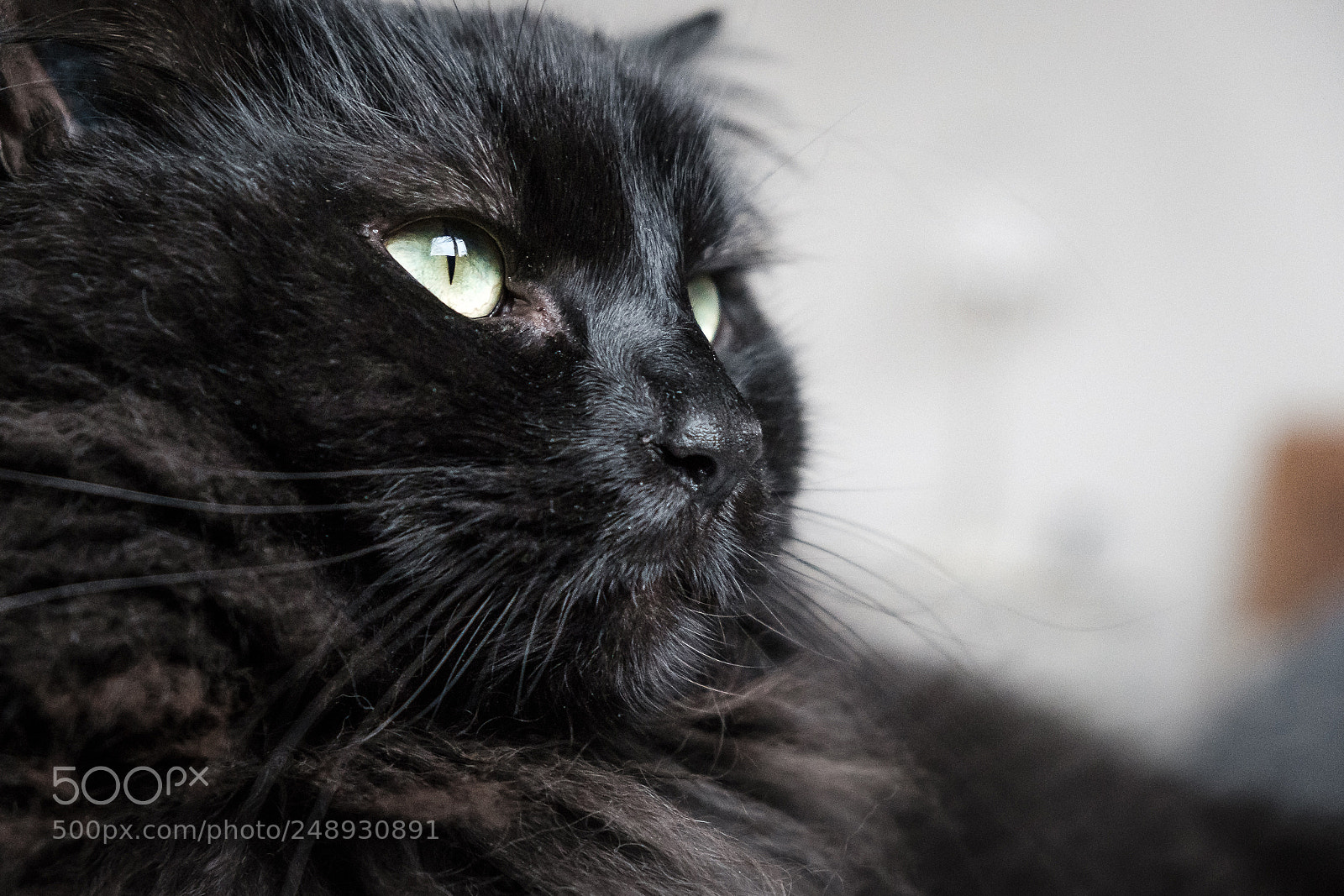 Fujifilm X-T20 sample photo. Indefinite view photography