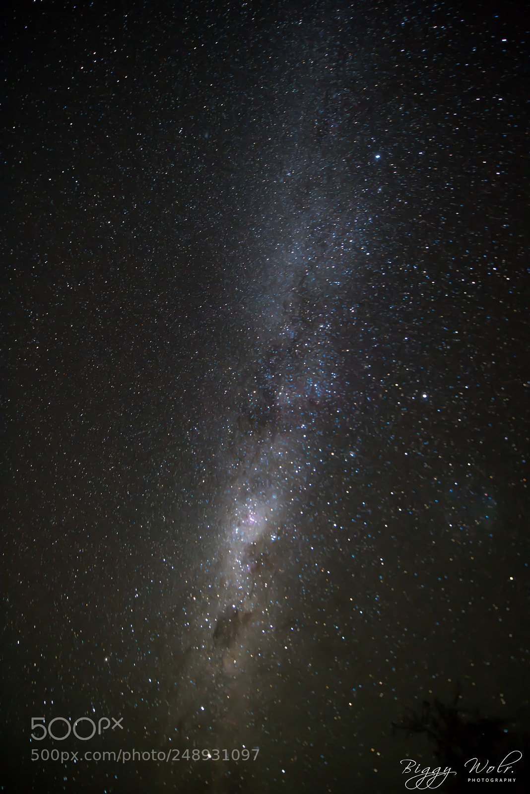 Nikon D810 sample photo. Enjoy watching stars photography