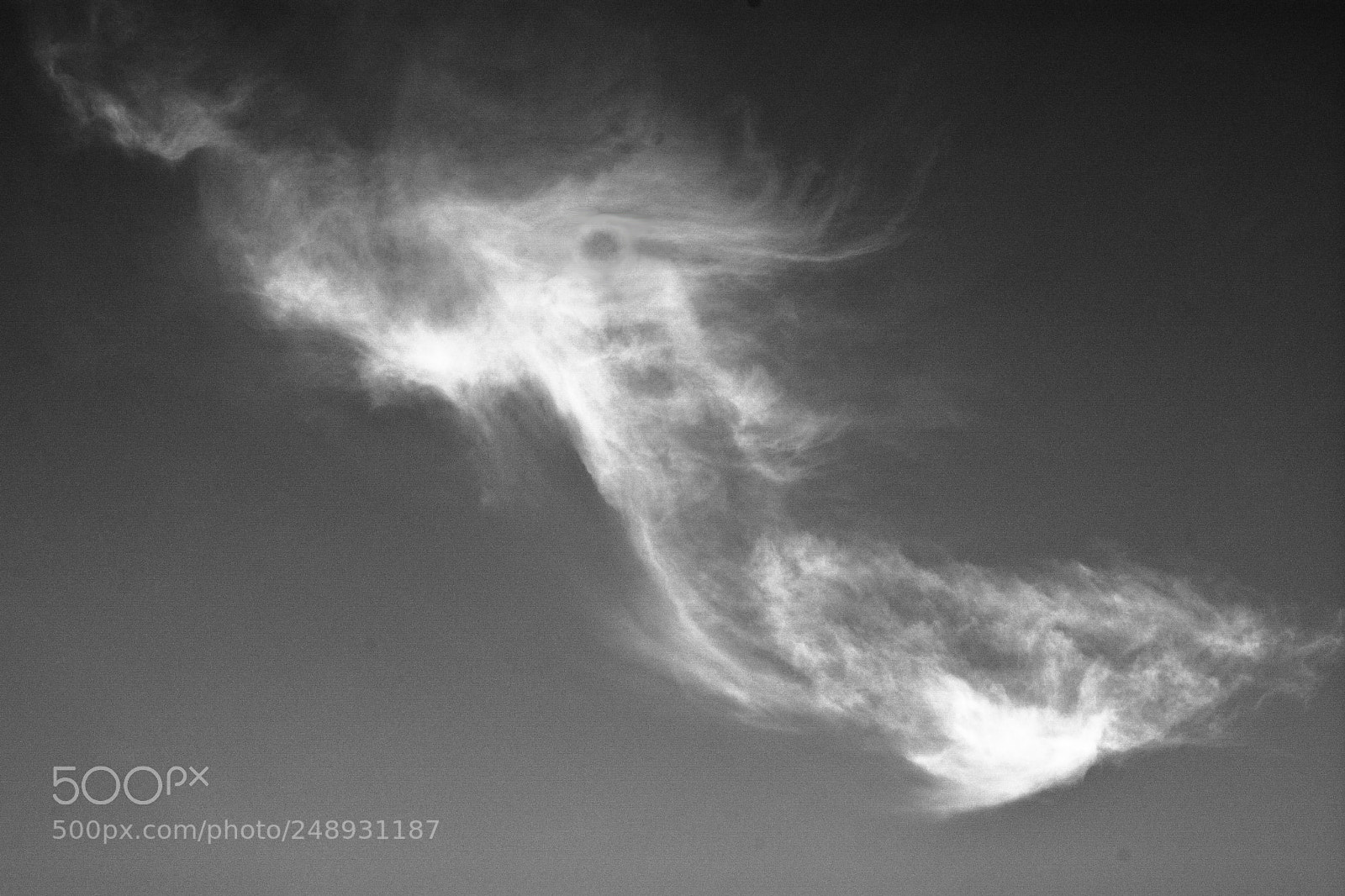 Nikon D7100 sample photo. Dragon photography