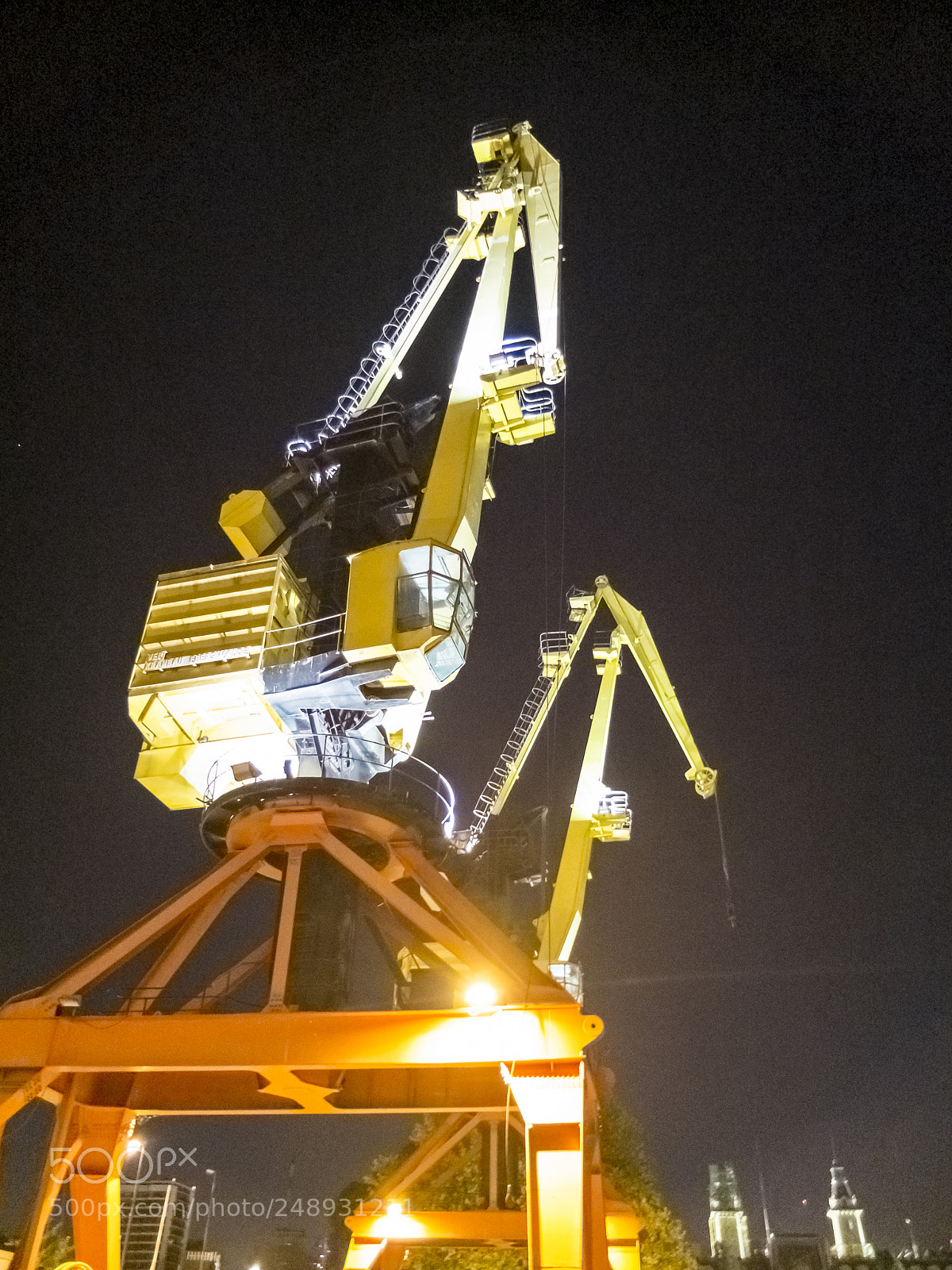 Fujifilm X10 sample photo. Two cranes photography