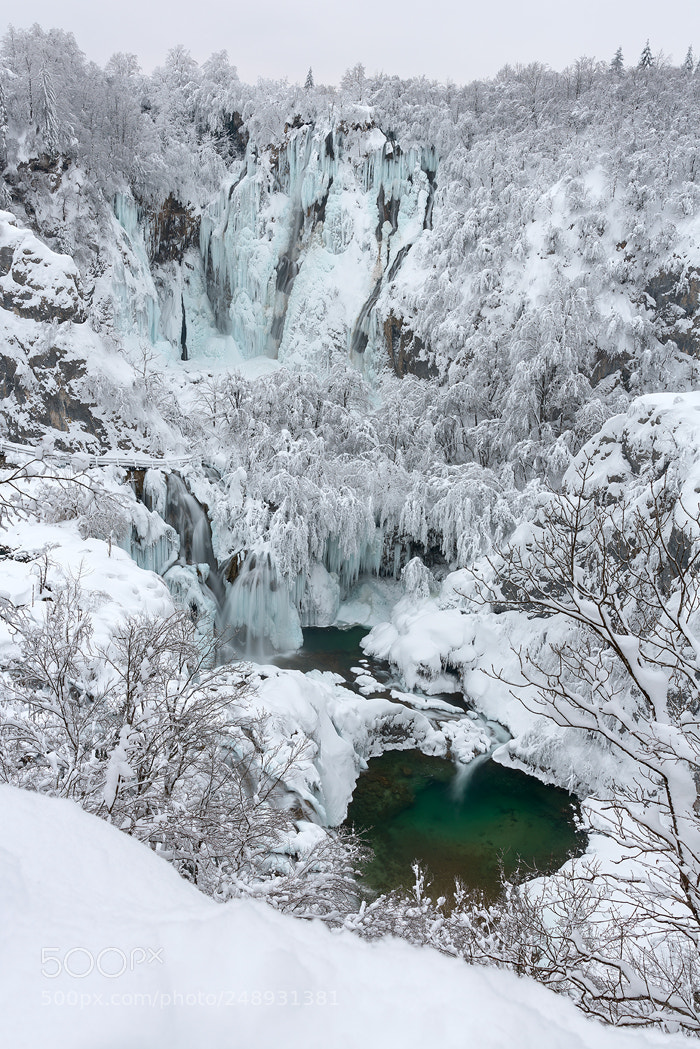 Nikon D810 sample photo. Green eye - plitvice photography