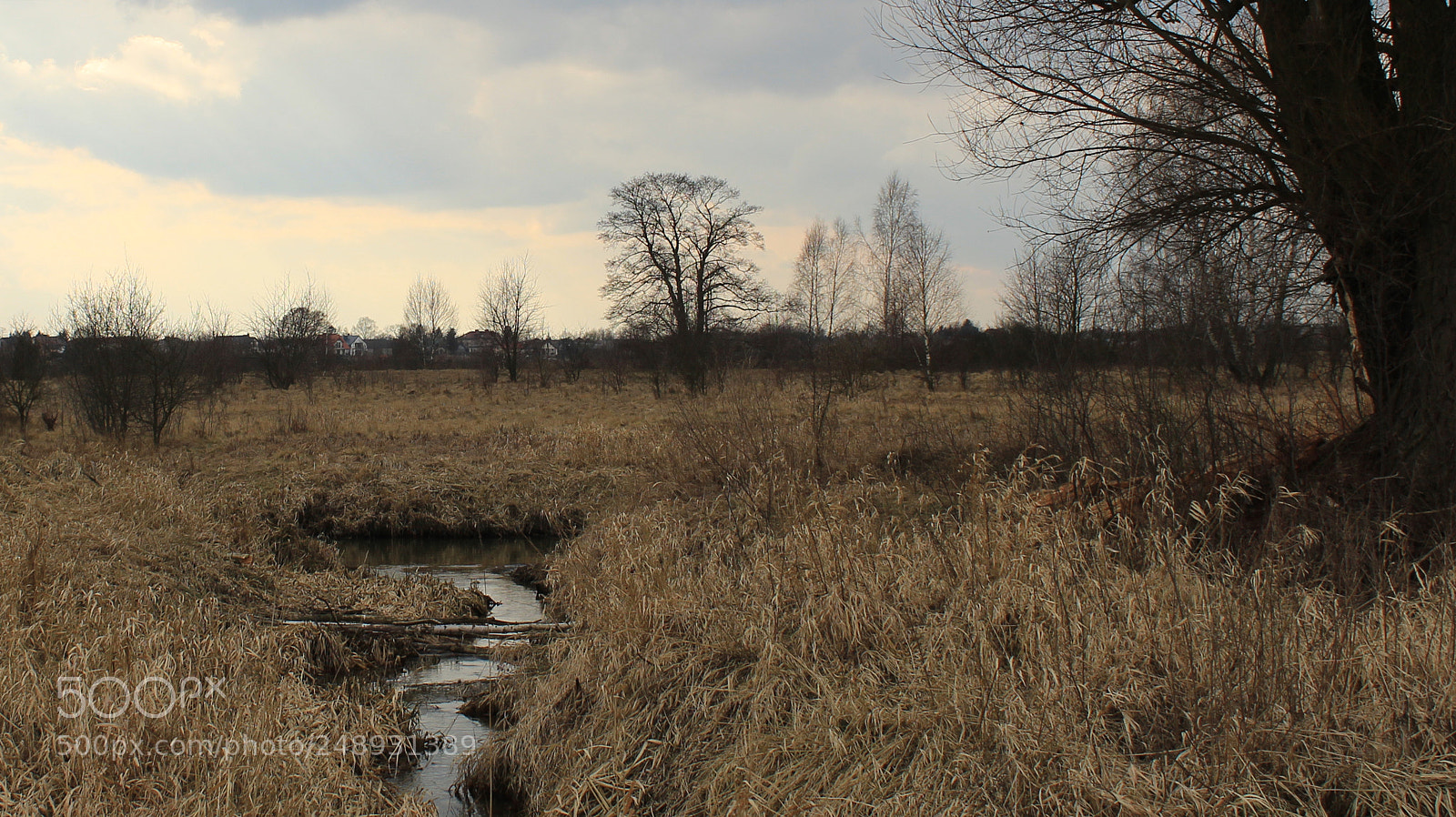 Canon EOS 1200D (EOS Rebel T5 / EOS Kiss X70 / EOS Hi) sample photo. Fields3 photography