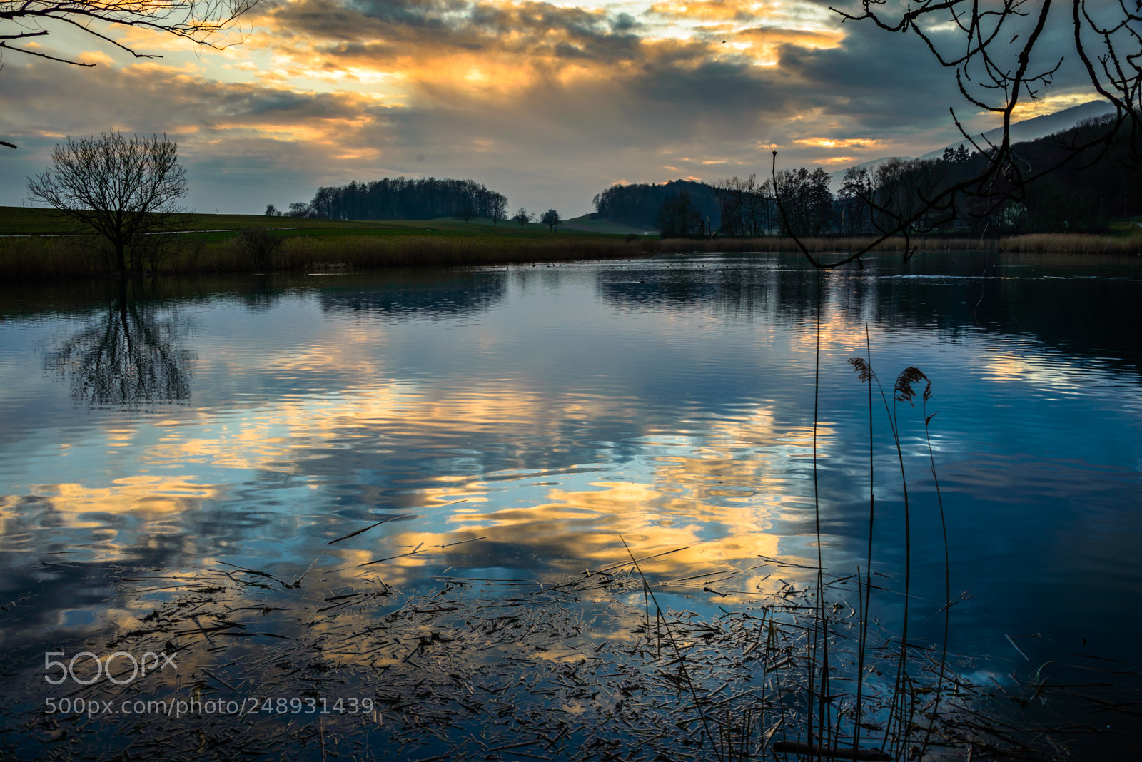 Nikon D600 sample photo. Reflections on sunset photography