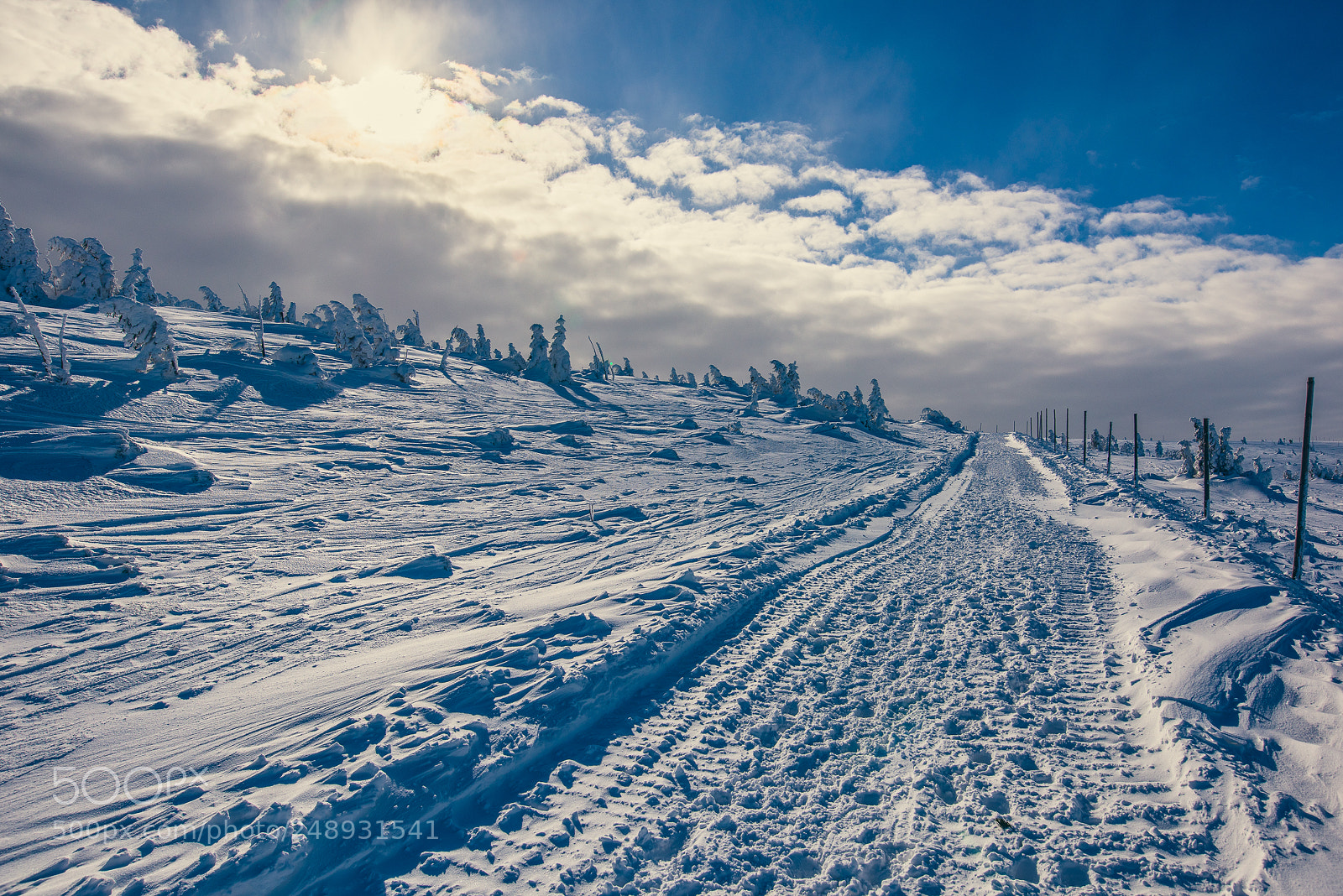 Nikon D810 sample photo. I'm walking in the photography