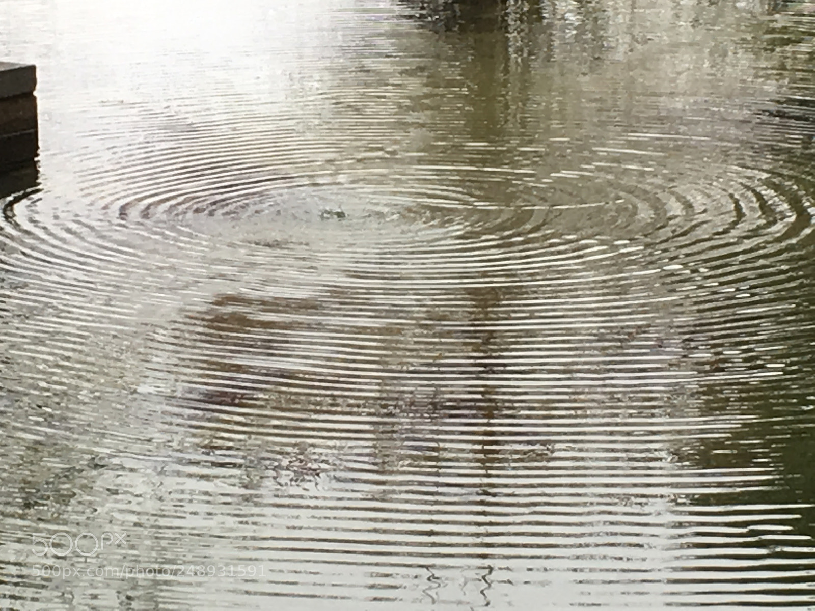 Apple iPhone 6s Plus sample photo. Pond ripples beyerle 2018 photography
