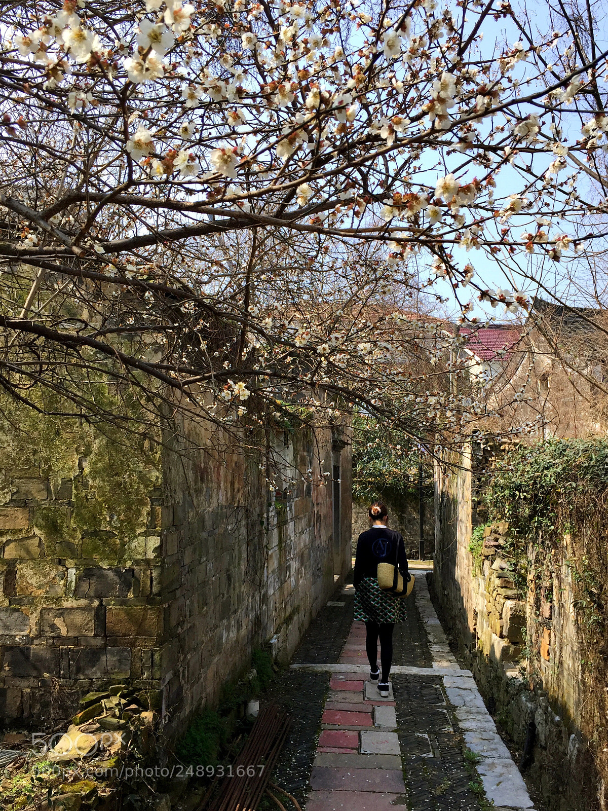 Apple iPhone 6 Plus sample photo. Spring in old village photography