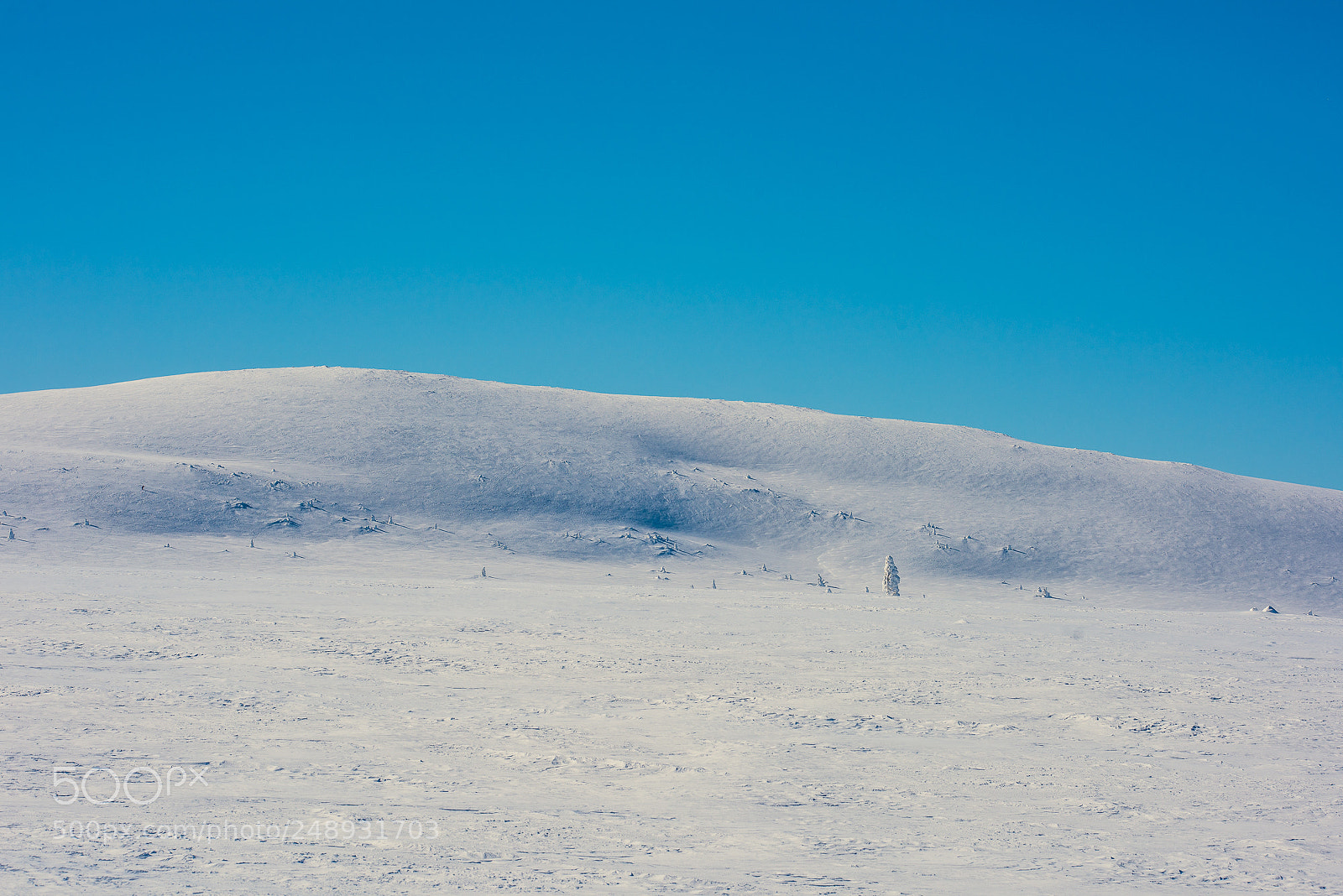 Nikon D810 sample photo. I'm walking in the photography