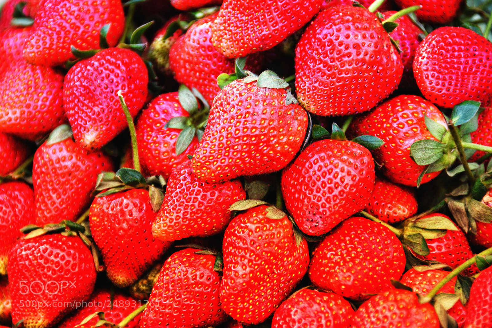 Nikon D7200 sample photo. Strawberry photography