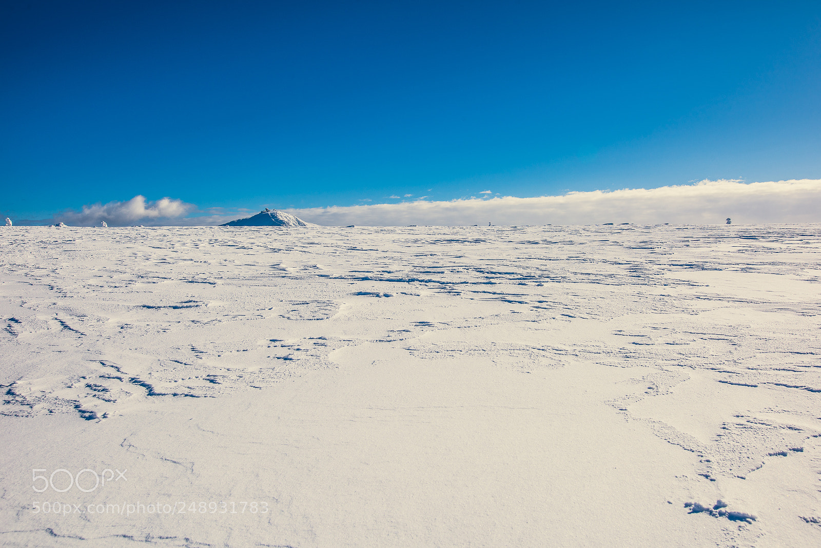 Nikon D810 sample photo. I'm walking in the photography