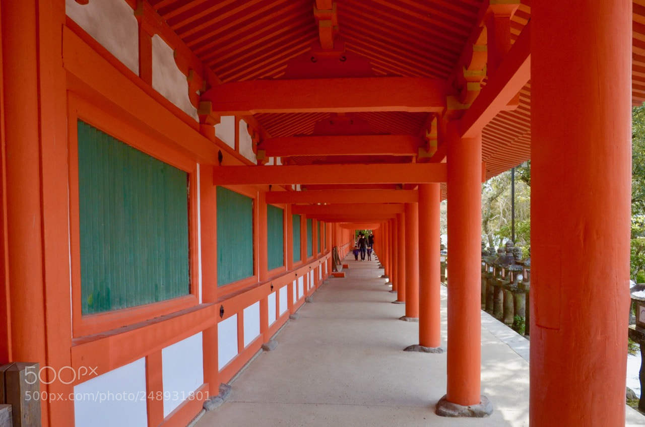 Nikon D7000 sample photo. Shinto temple, nara photography