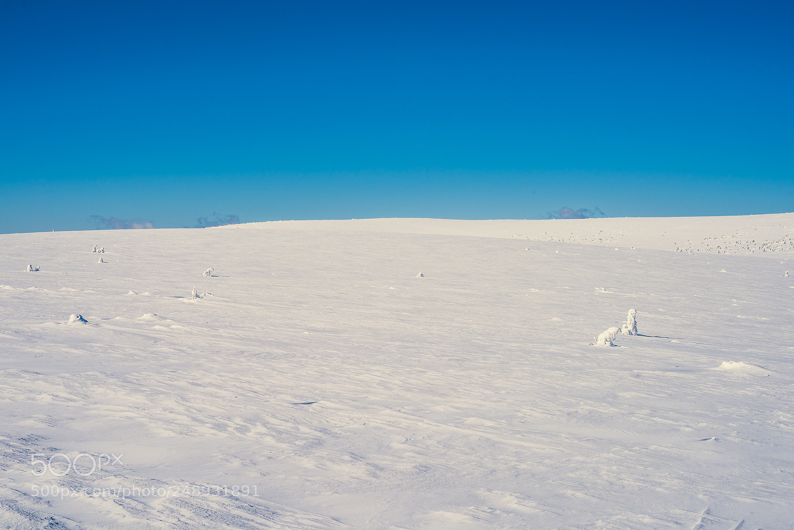 Nikon D810 sample photo. I'm walking in the photography