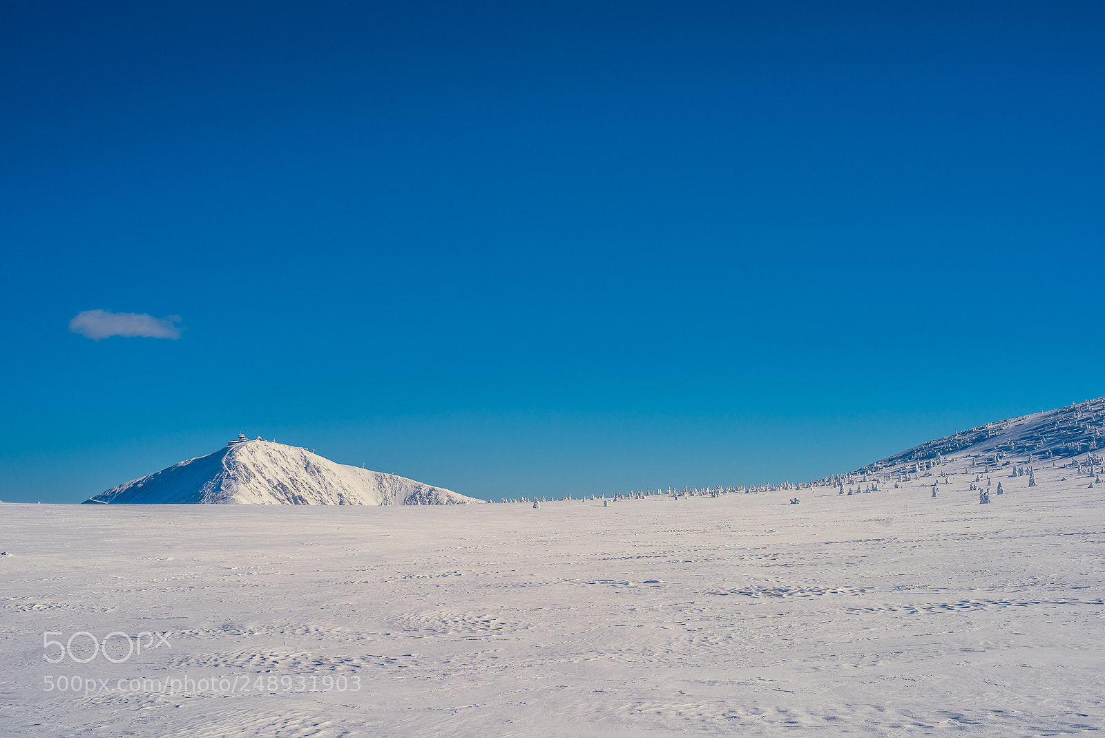 Nikon D810 sample photo. I'm walking in the photography