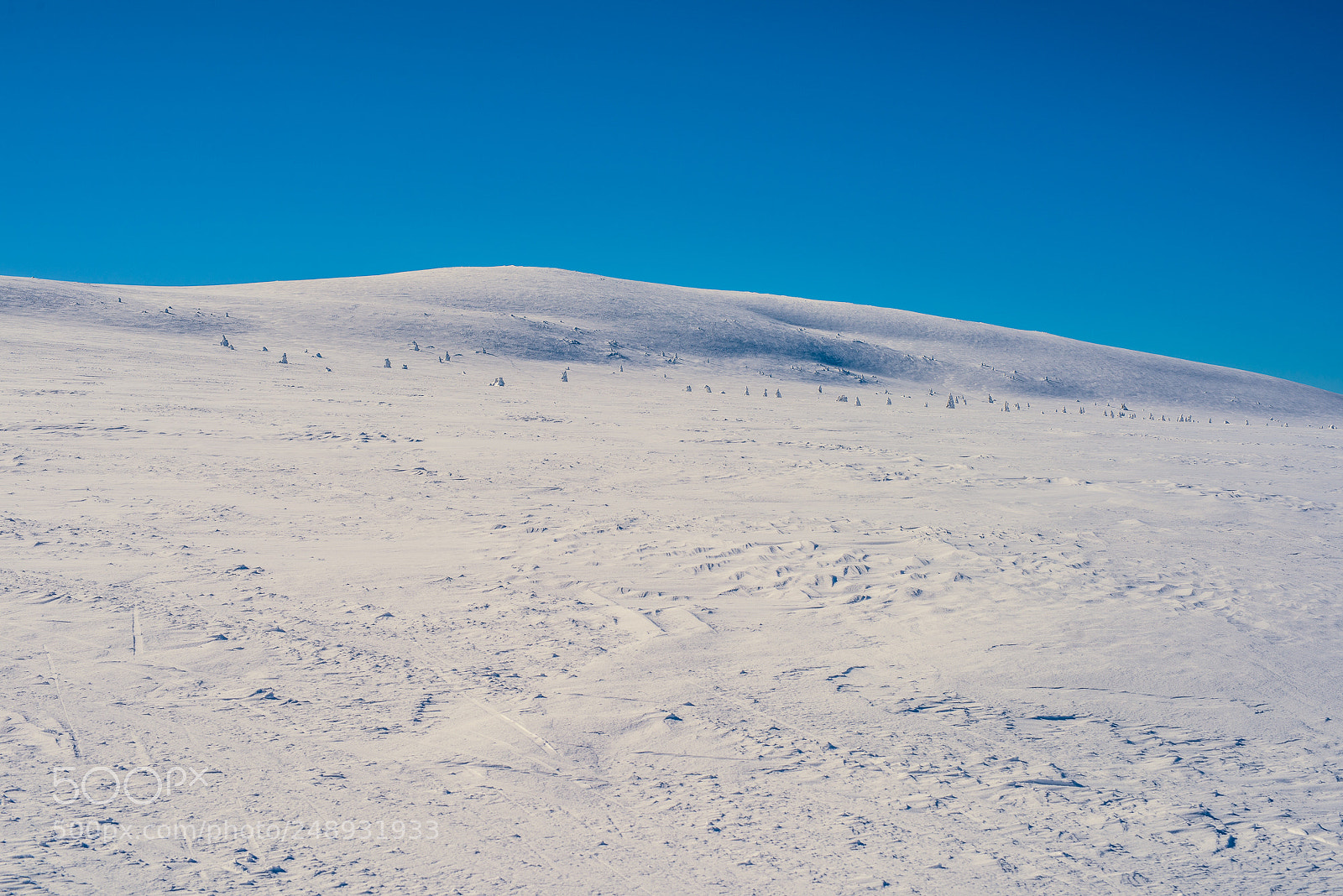 Nikon D810 sample photo. I'm walking in the photography