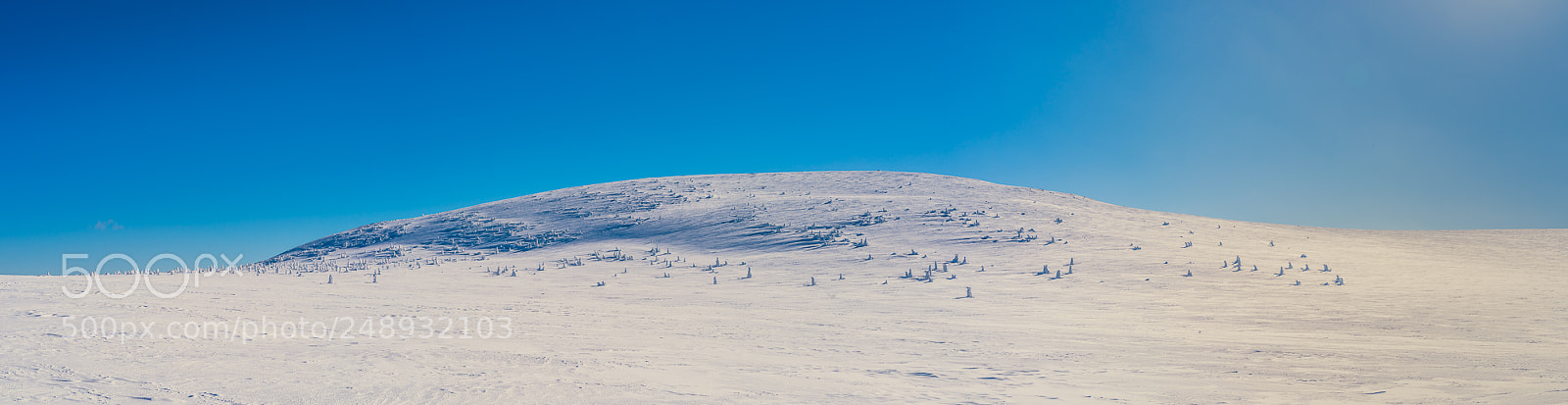 Nikon D810 sample photo. I'm walking in the photography