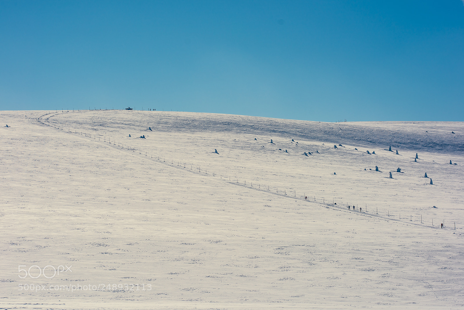 Nikon D810 sample photo. I'm walking in the photography