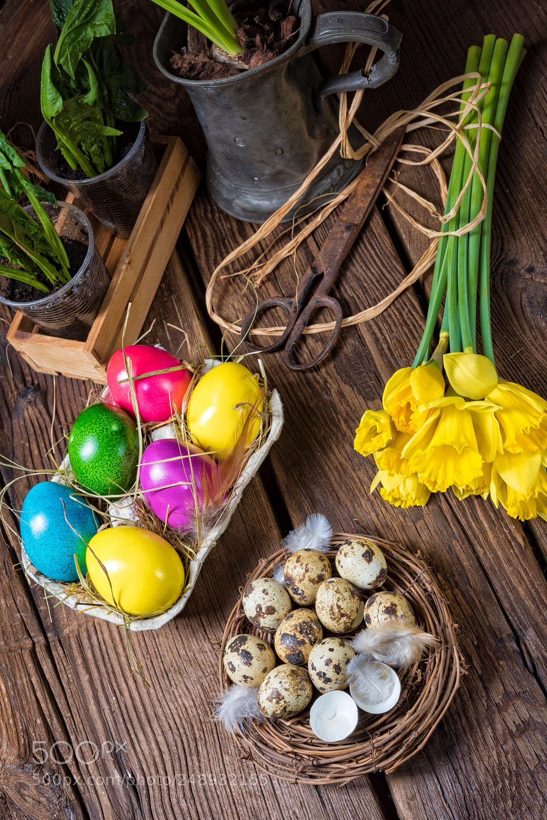 Nikon D810 sample photo. Colorful easter eggs photography