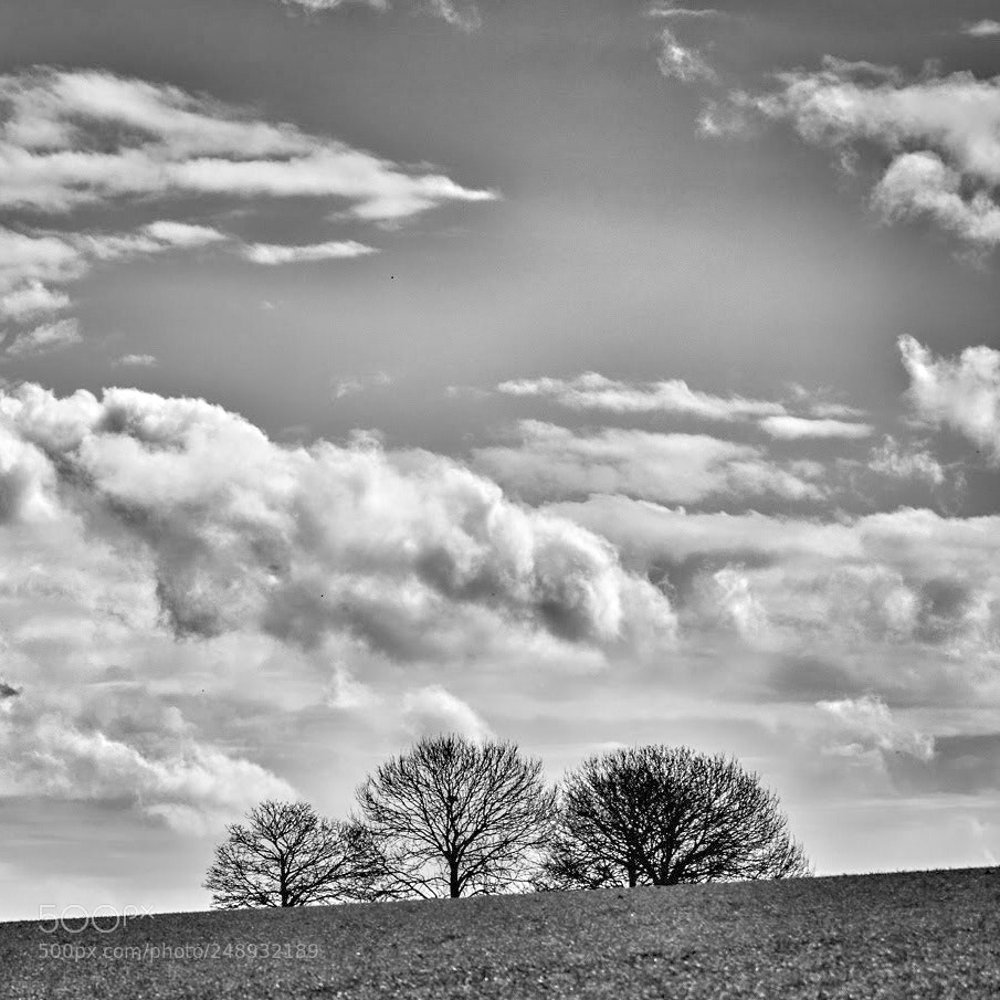 Nikon D800 sample photo. Rennemoulin photography