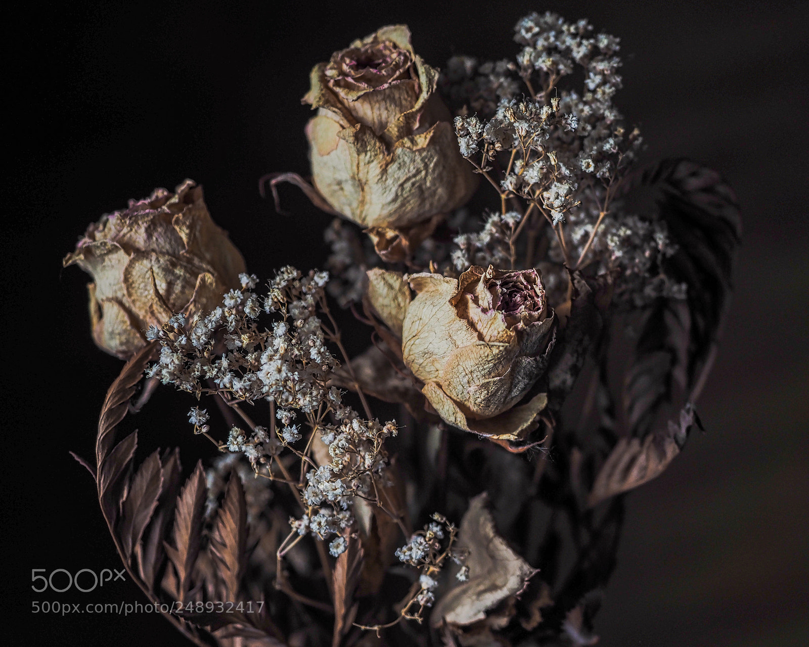 Olympus OM-D E-M1 Mark II sample photo. Fading beauty photography