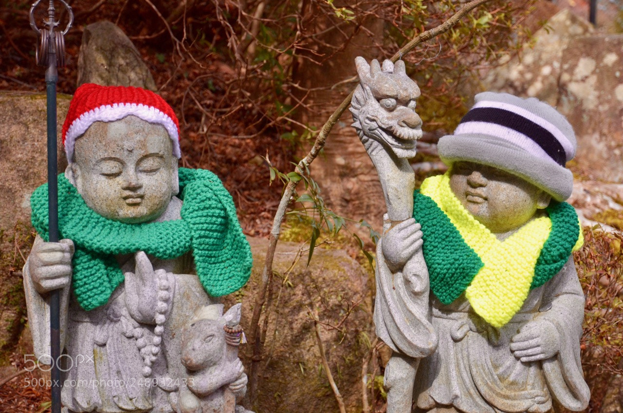 Nikon D7000 sample photo. Keeping the gods warm photography
