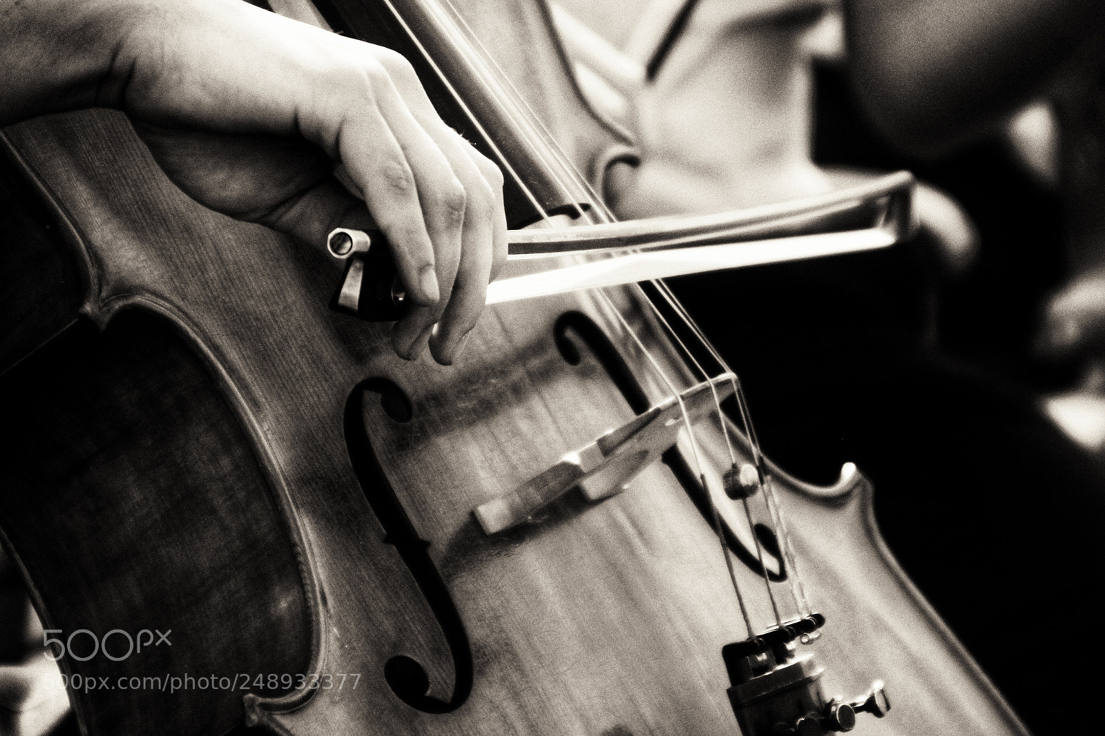 Canon EOS 600D (Rebel EOS T3i / EOS Kiss X5) sample photo. Cello photography