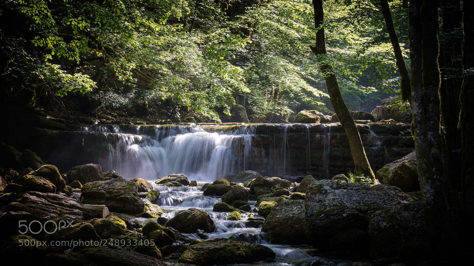 Canon EOS 5DS R sample photo. Saut du herisson photography
