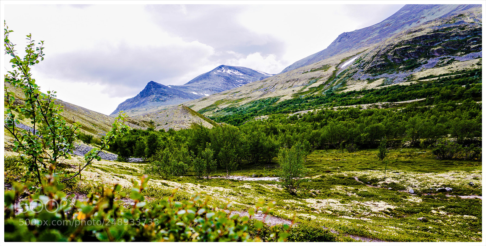 Sony a6000 sample photo. Rondane skranglehaugan photography