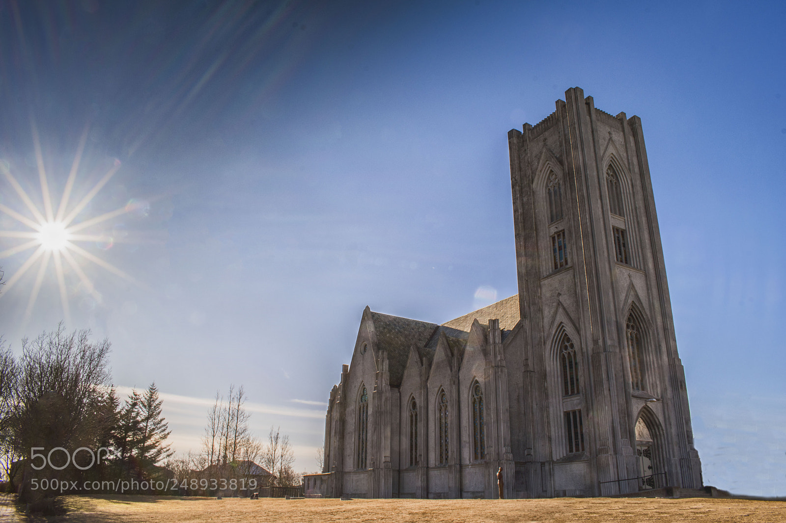 Nikon D5600 sample photo. Cathedral of christ the photography