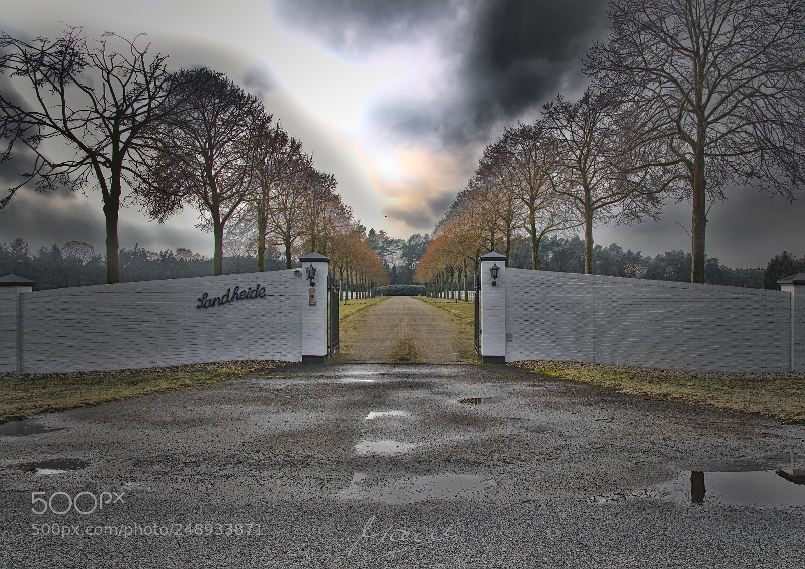 Nikon D90 sample photo. The entrance photography