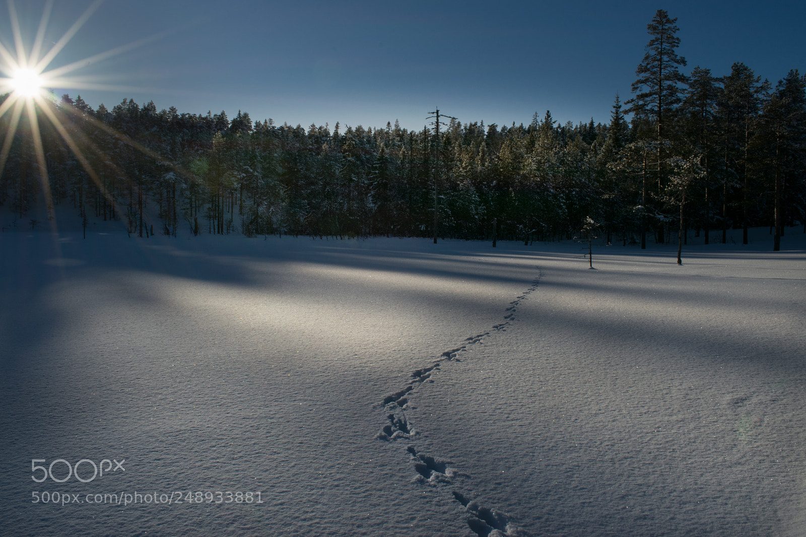 Nikon D5300 sample photo. Winter sunset photography