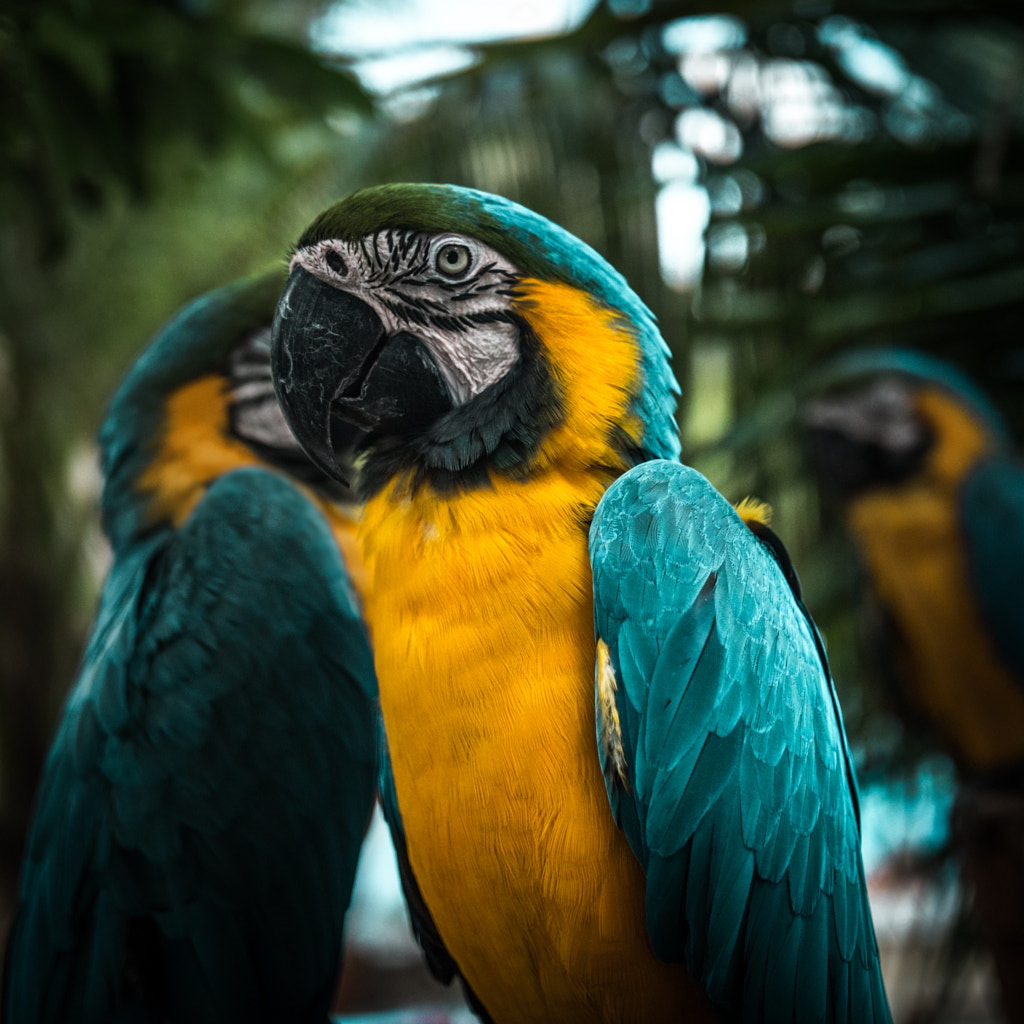 “Argh” by Landon Bytheway on 500px.com